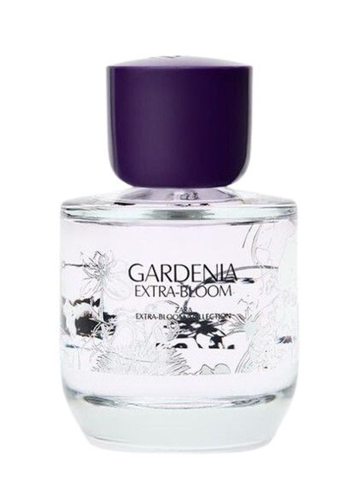 Gardenia Extra-Bloom