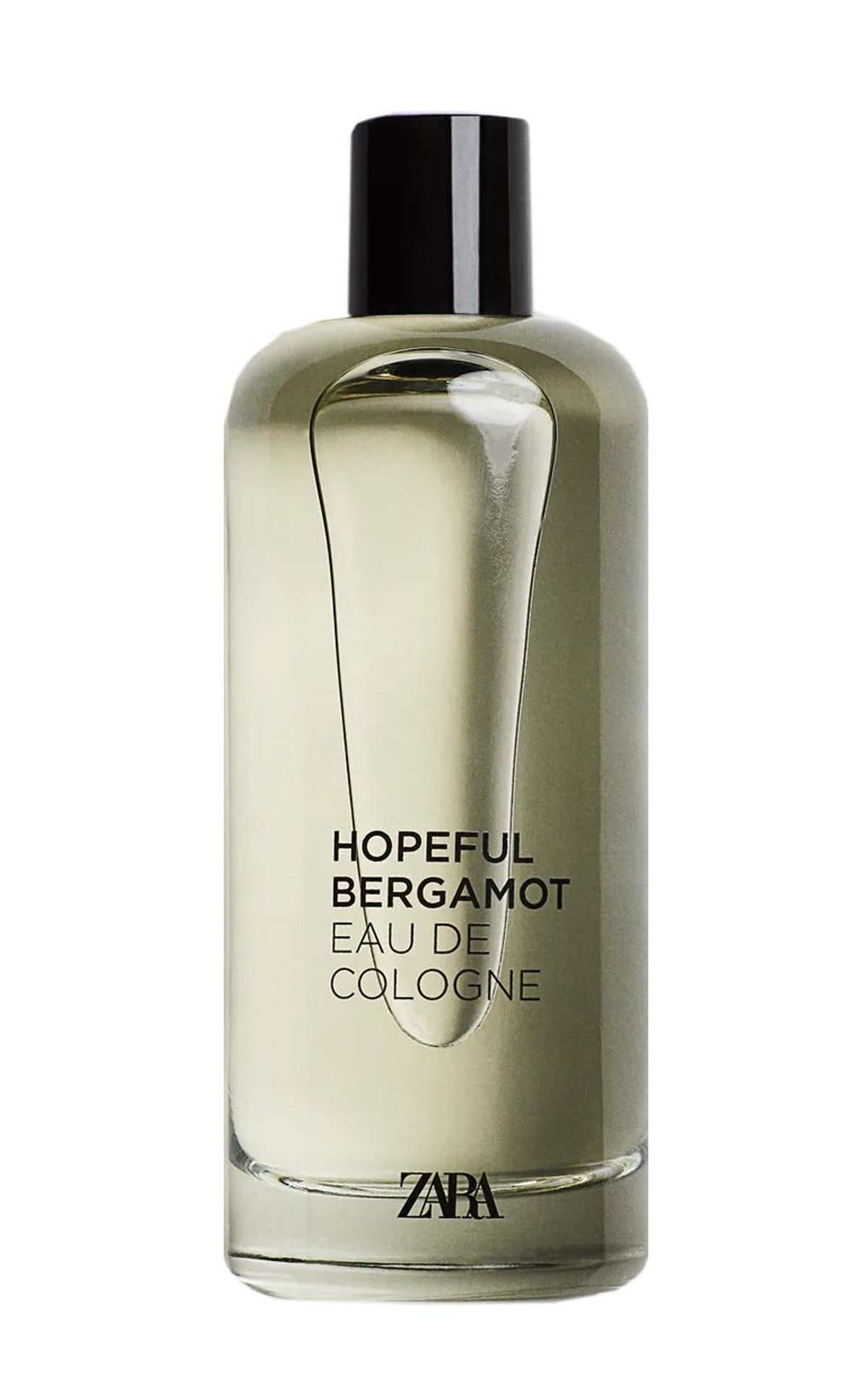 Hopeful Bergamot