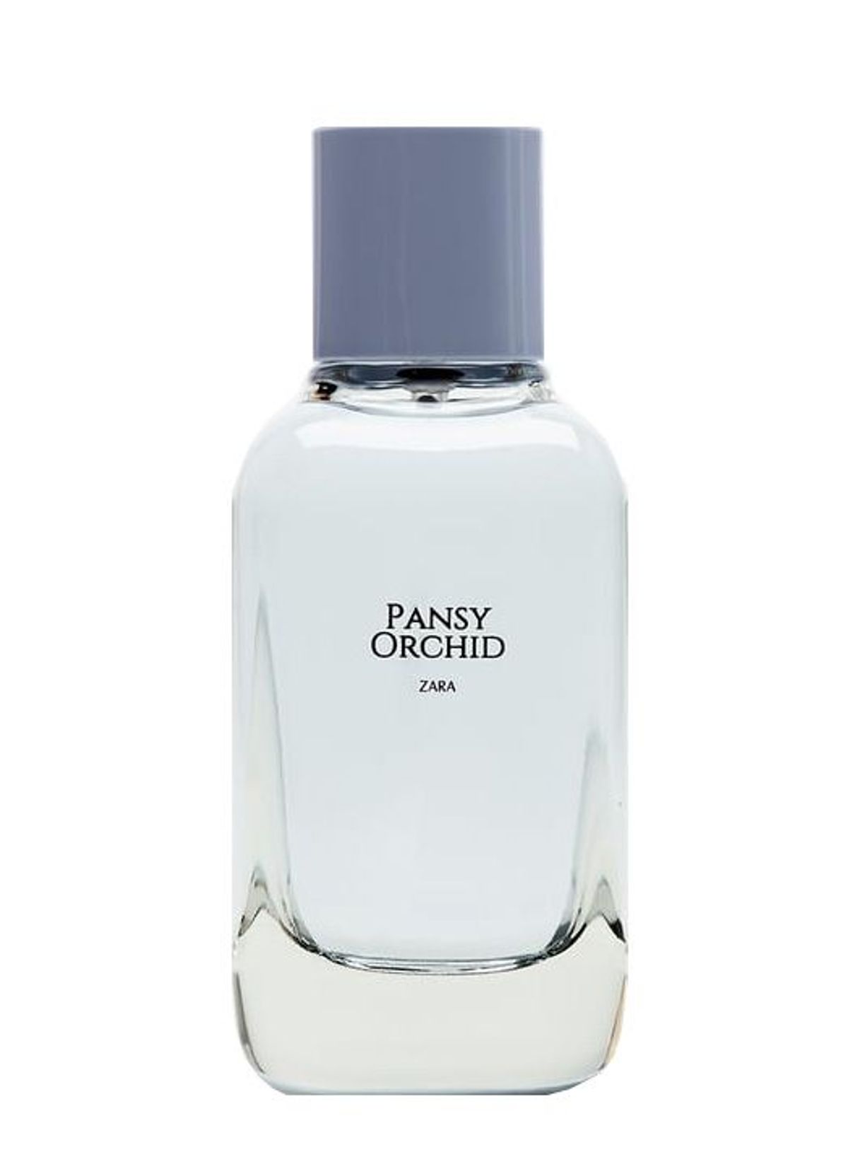 Pansy Orchid