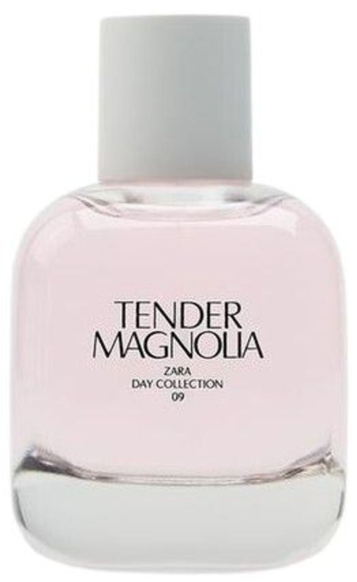 Tender Magnolia