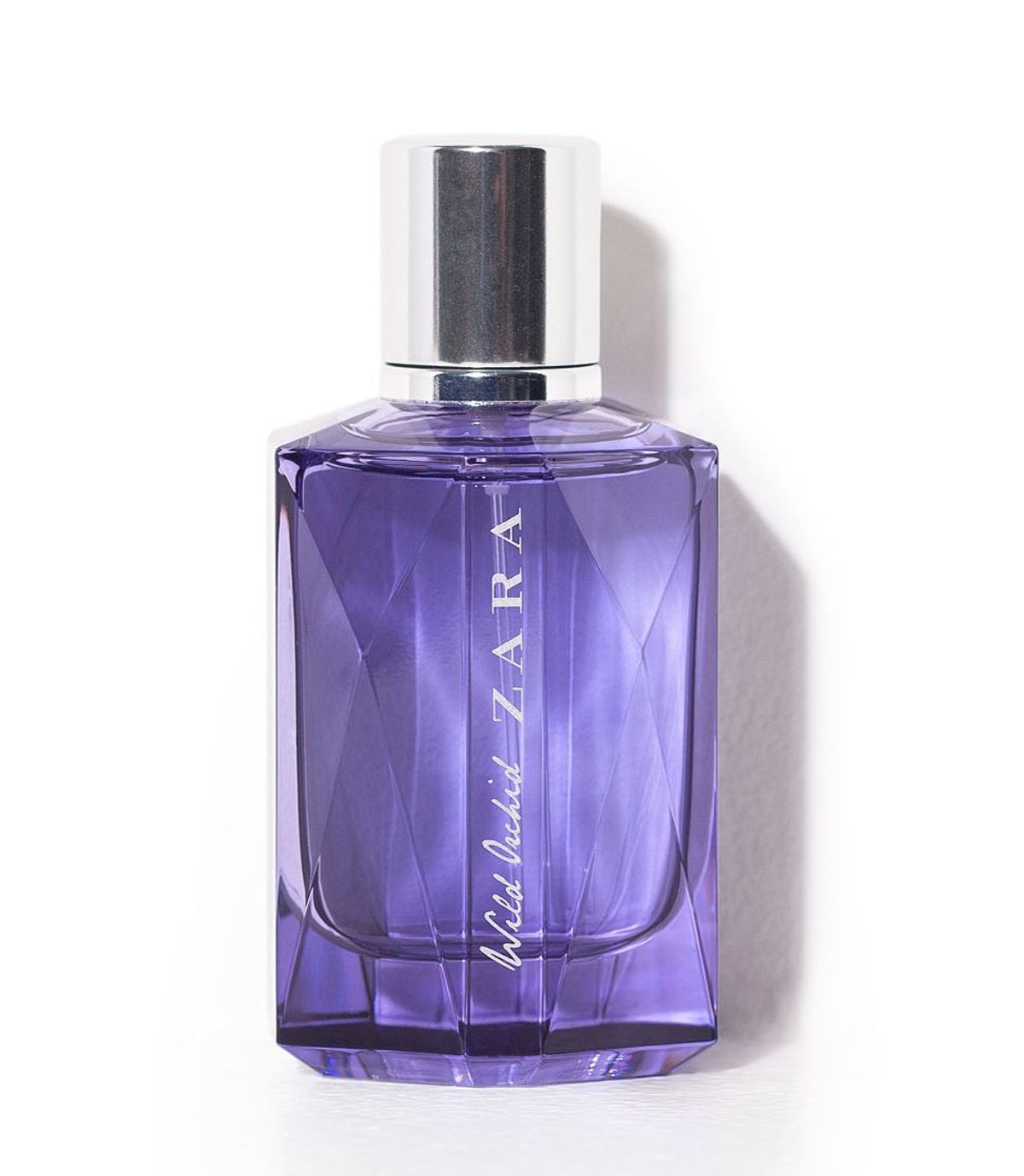 Wild Orchid