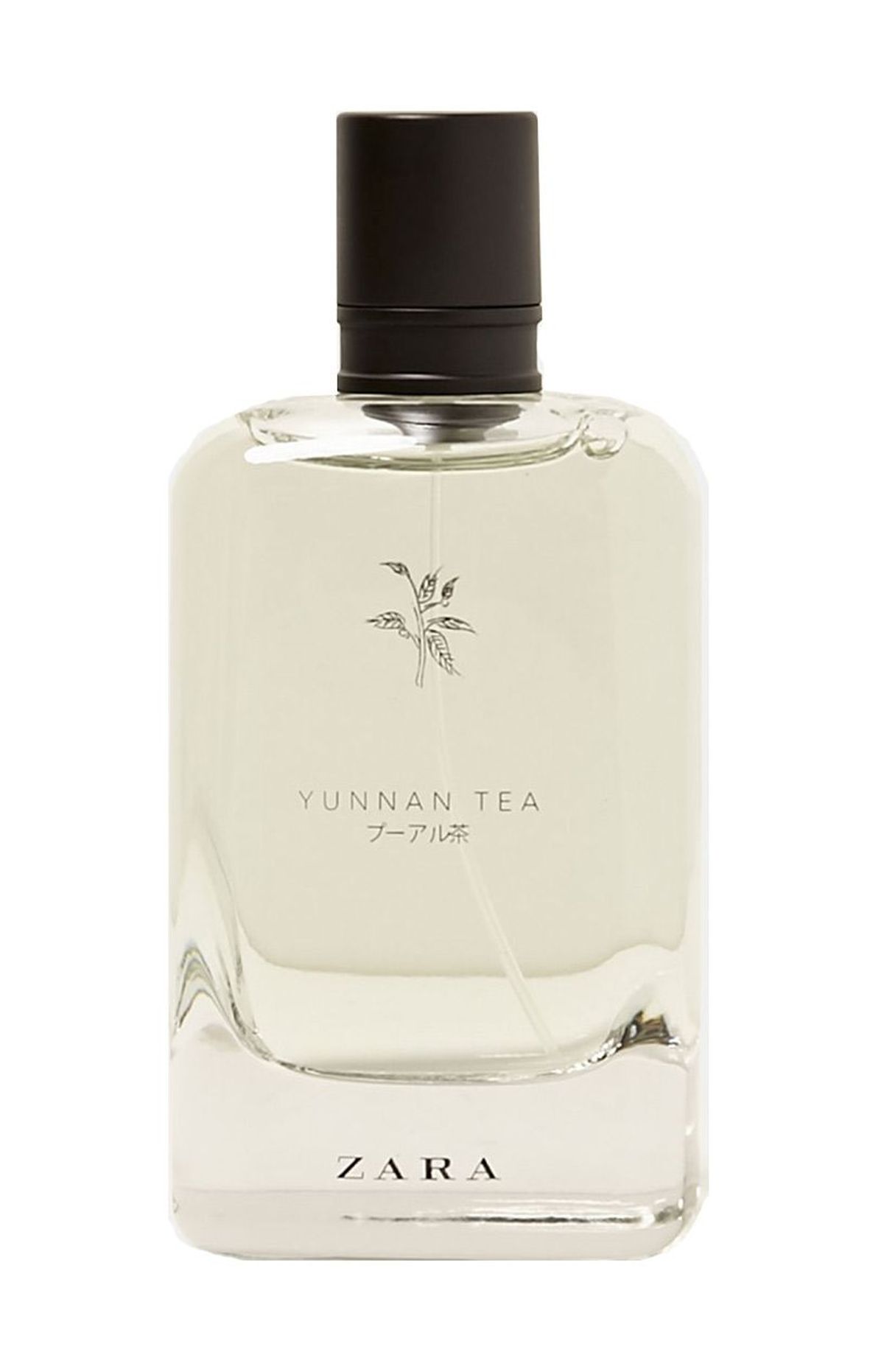 Yunnan Tea