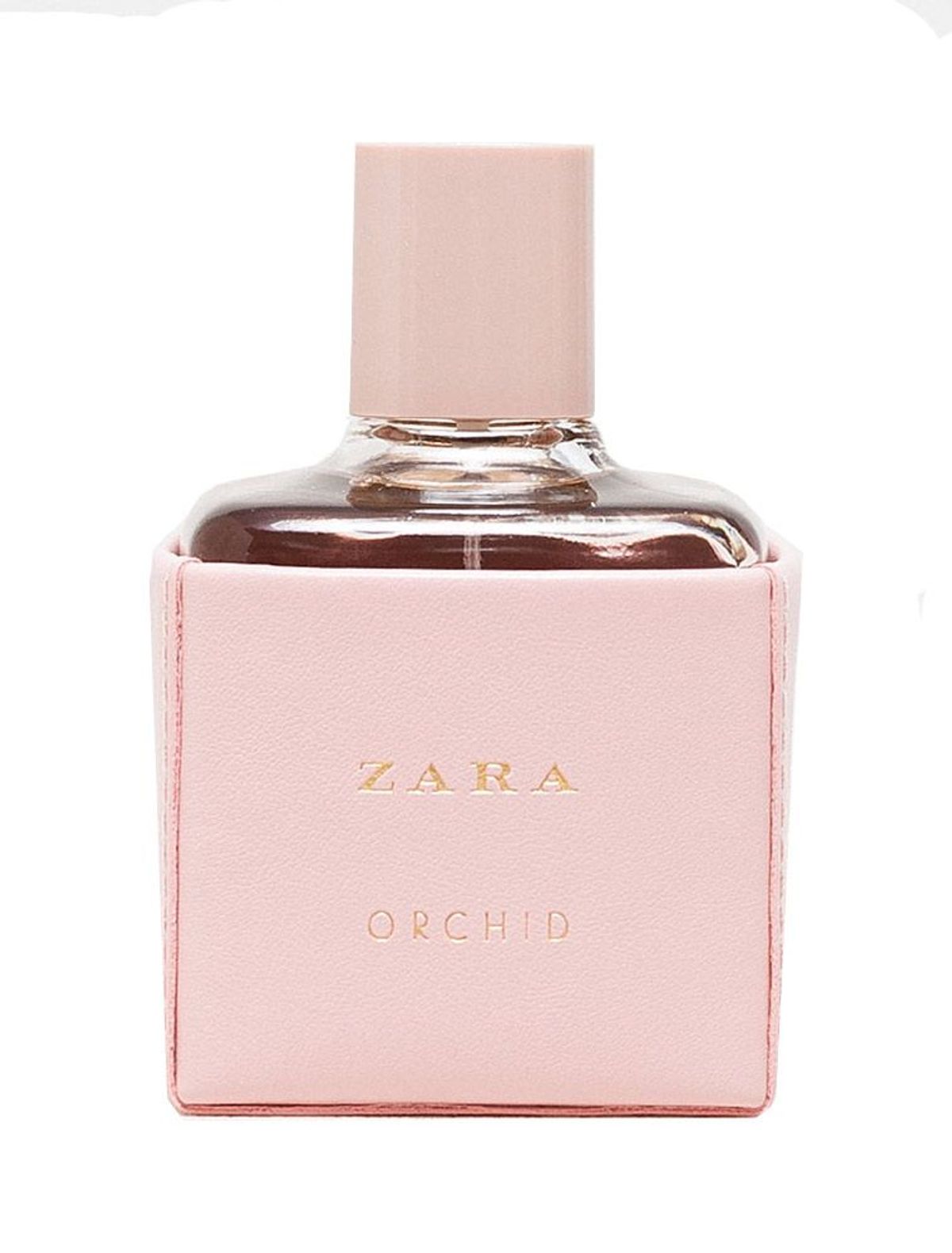 Zara Orchid 2016