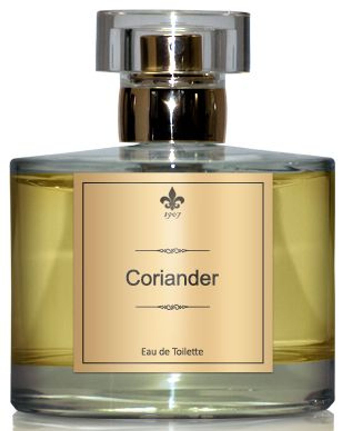 Coriander