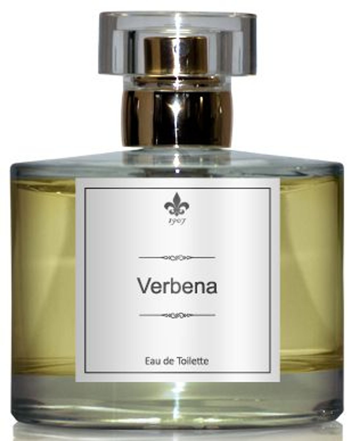 Verbena