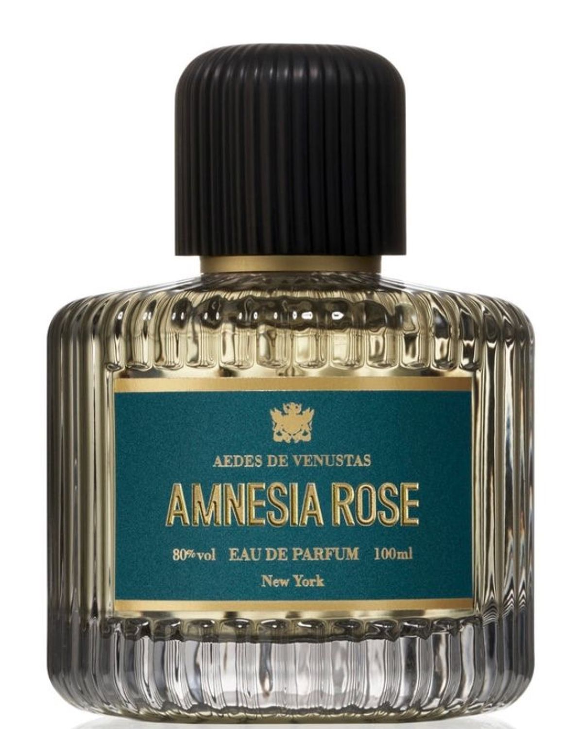 Amnesia Rose