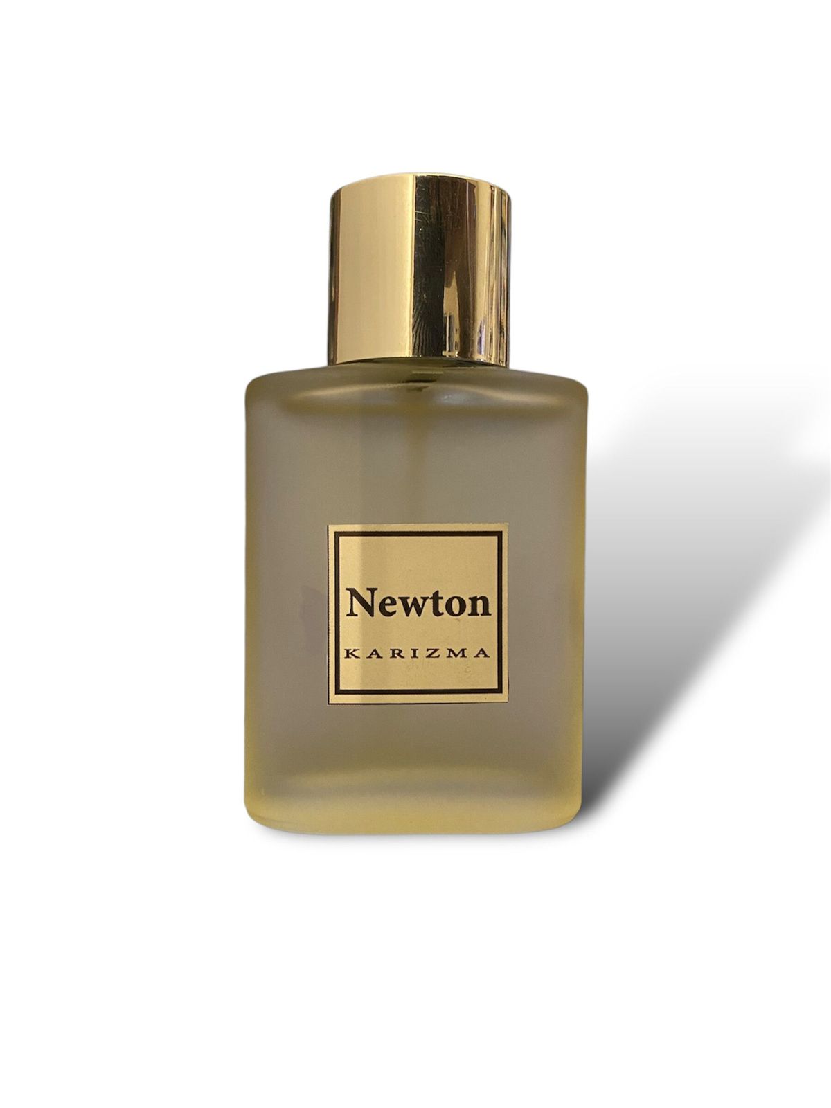 NEWTON