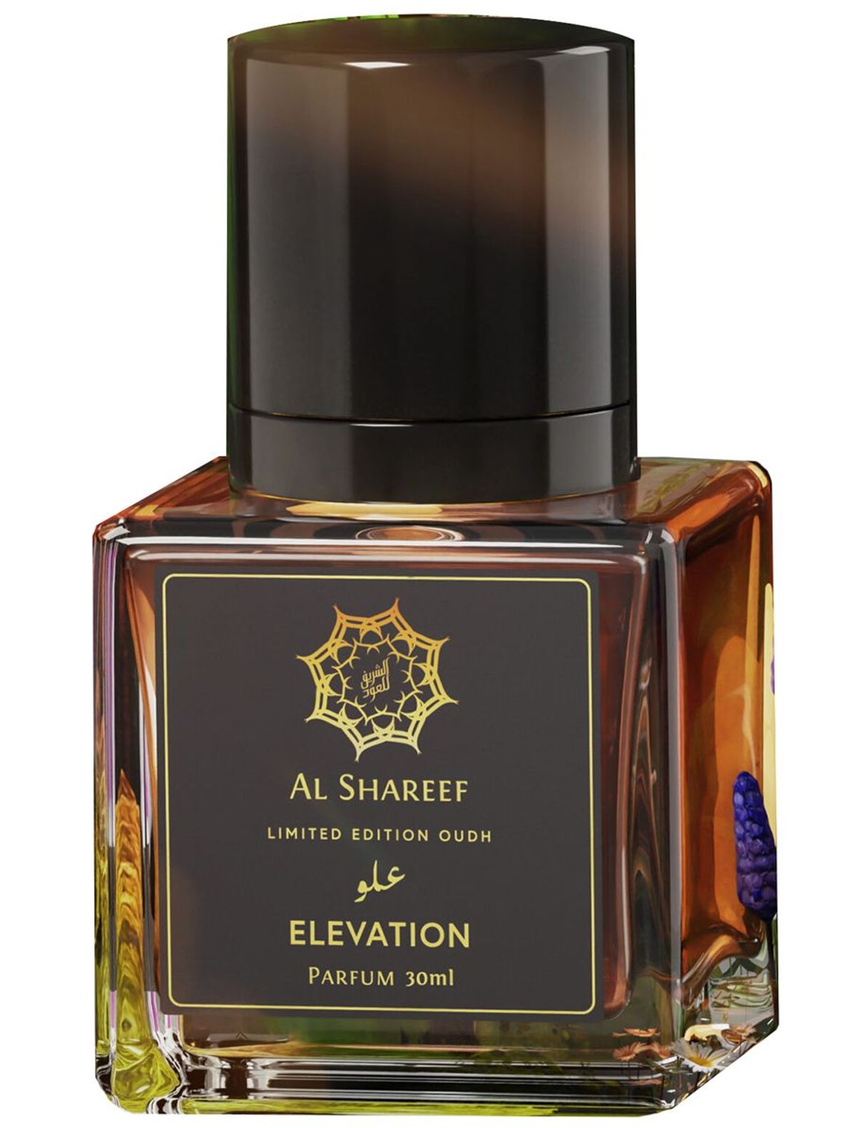 Elevation Parfum