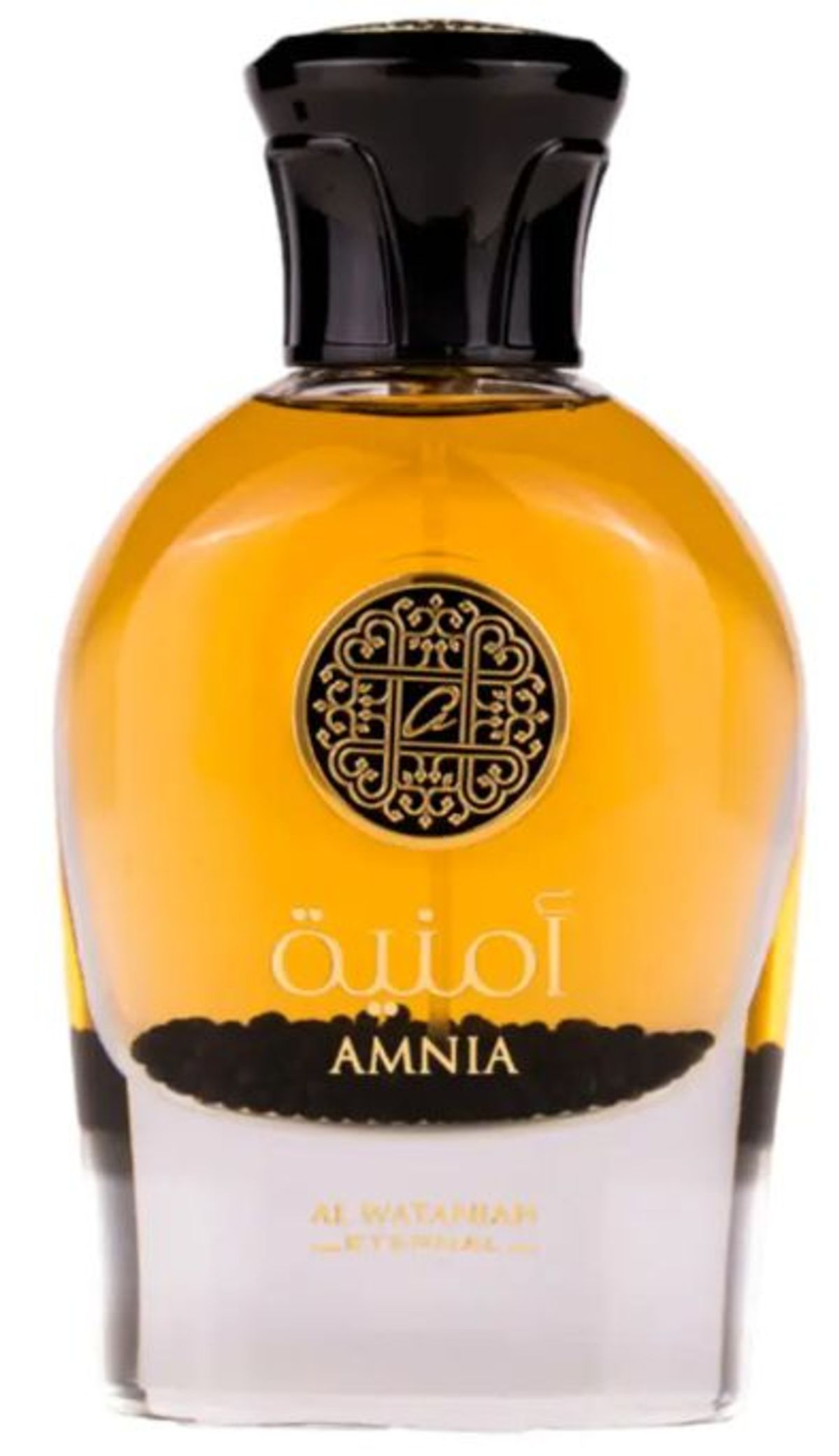 Amnia