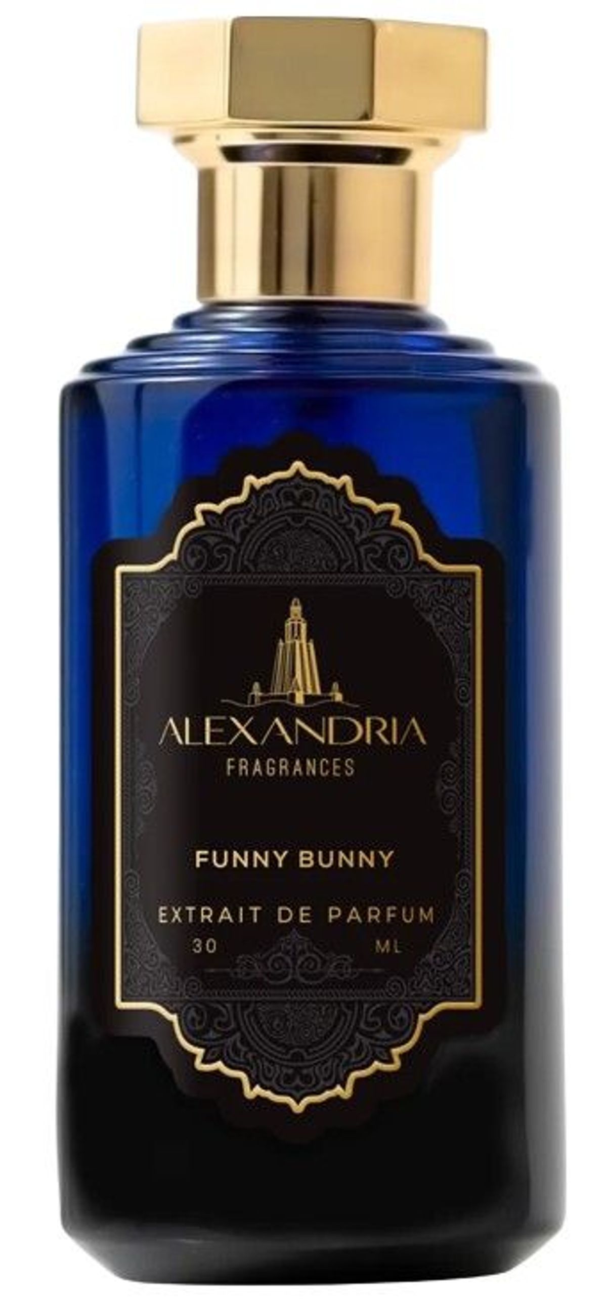 Funny Bunny