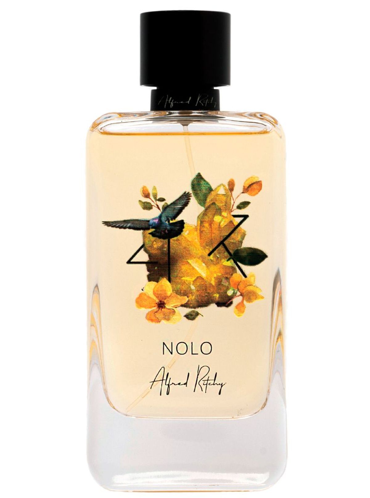 Nolo