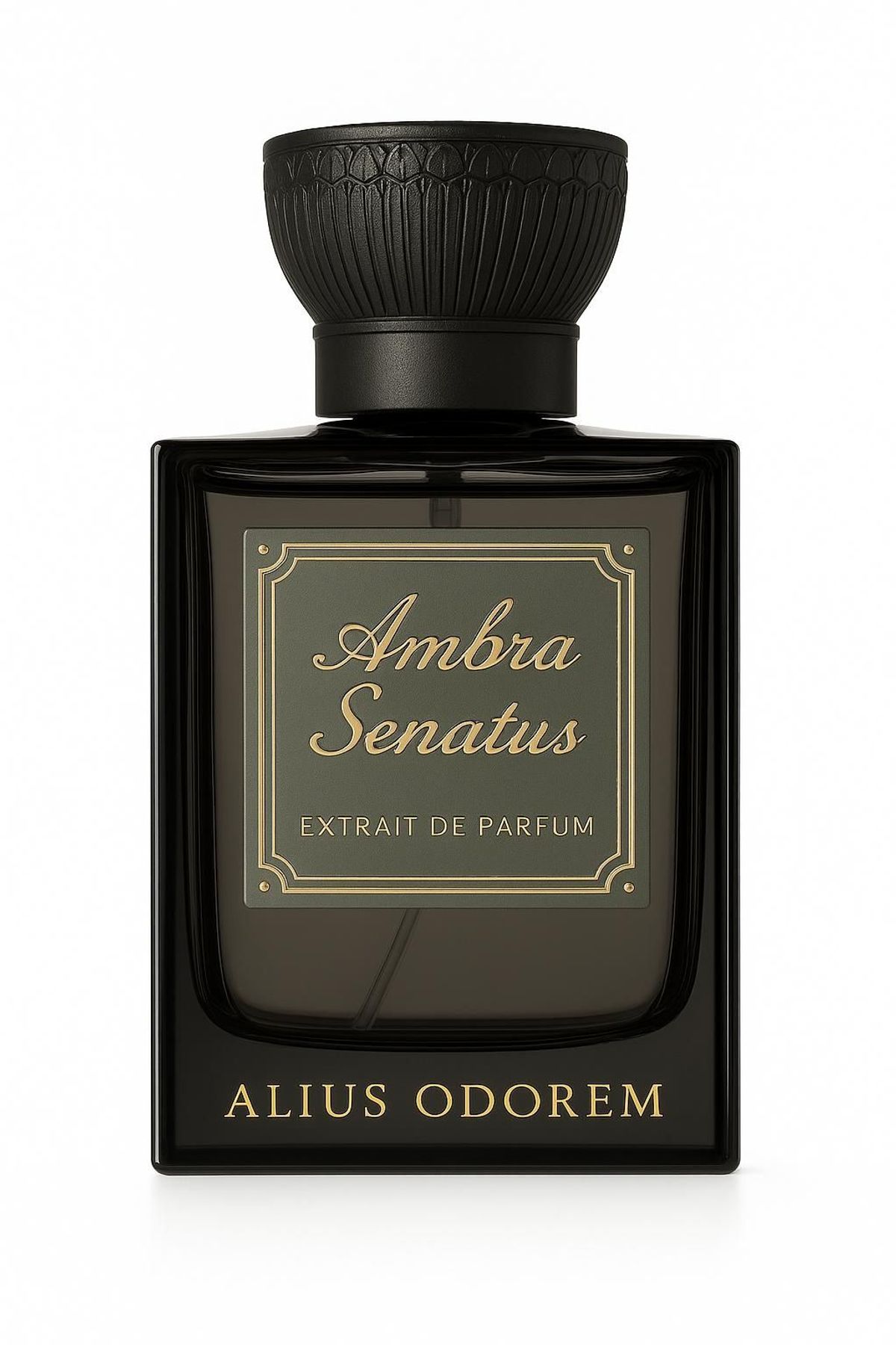 Ambra Senatus
