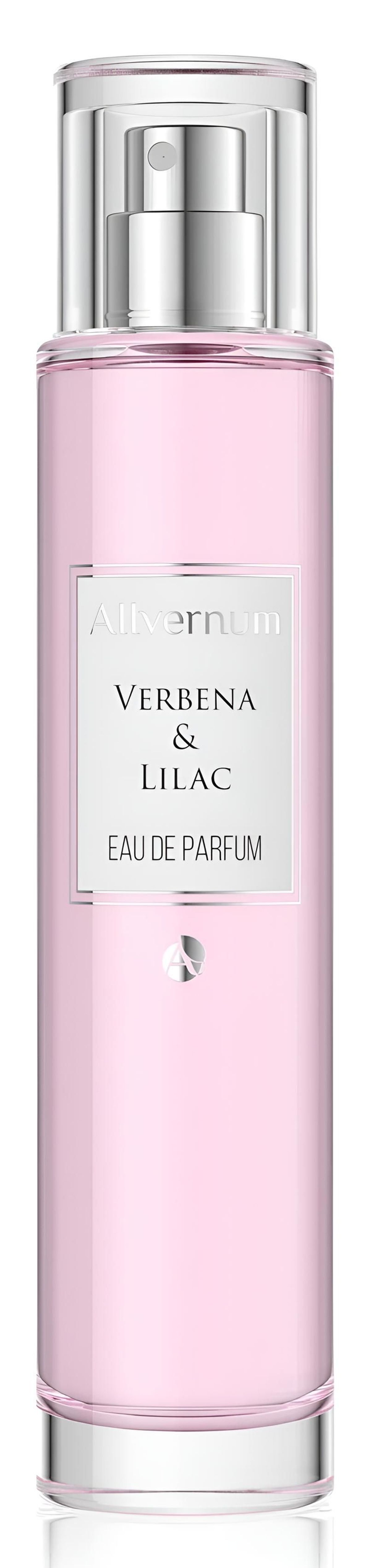Verbena & Lilac