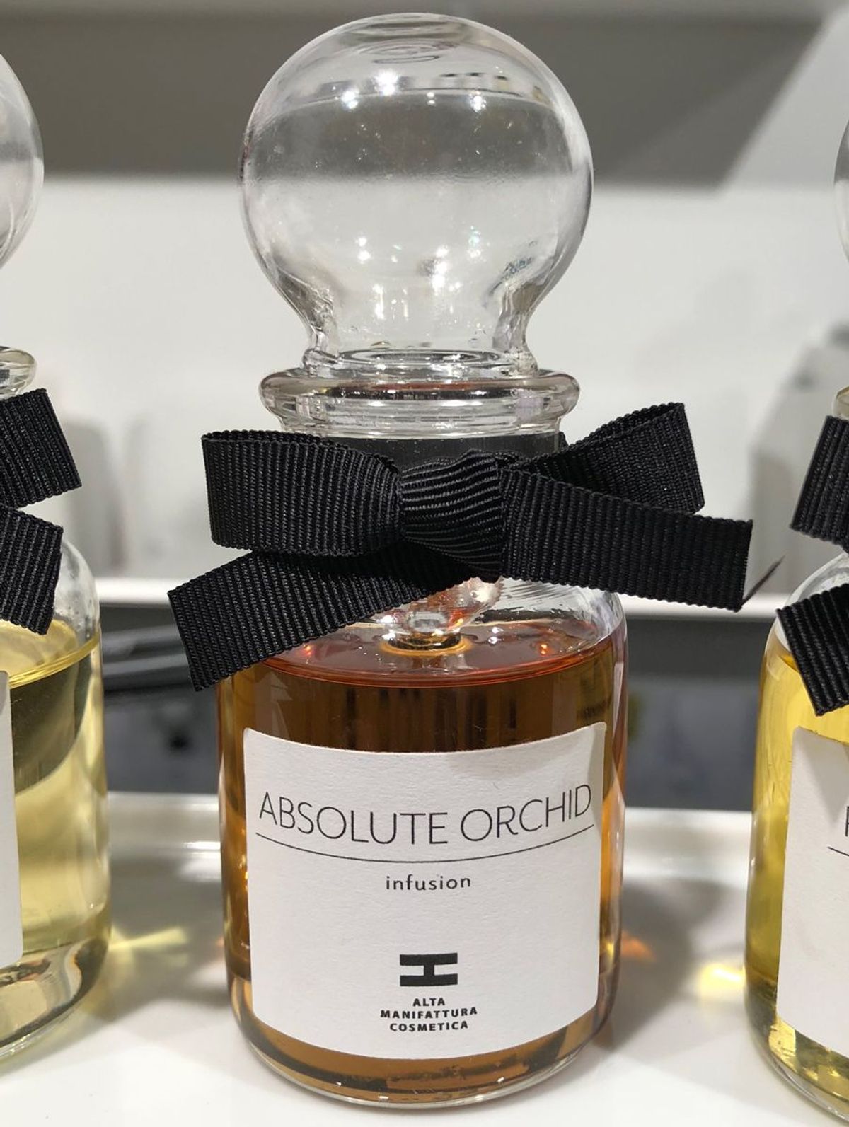 Absolute Orchid