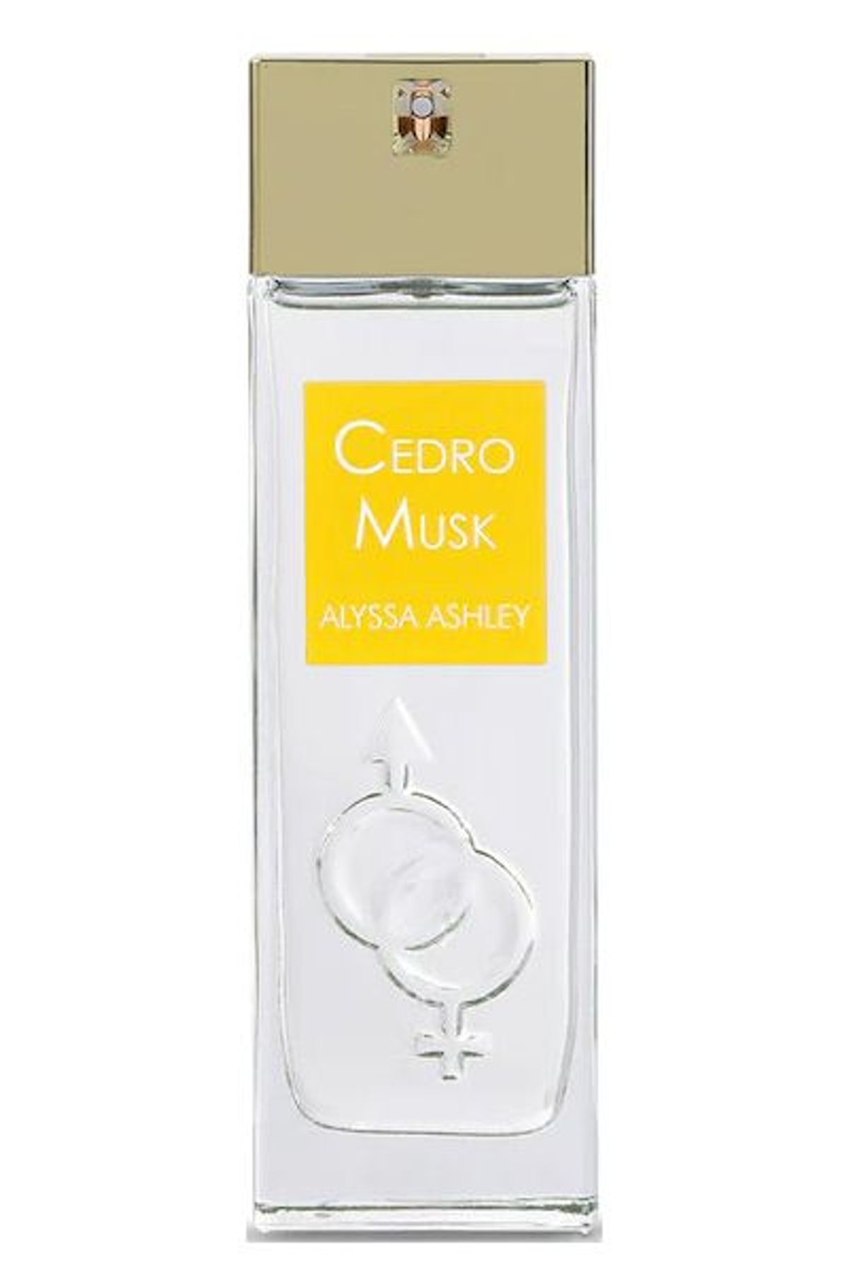 Cedro Musk Eau de Parfum