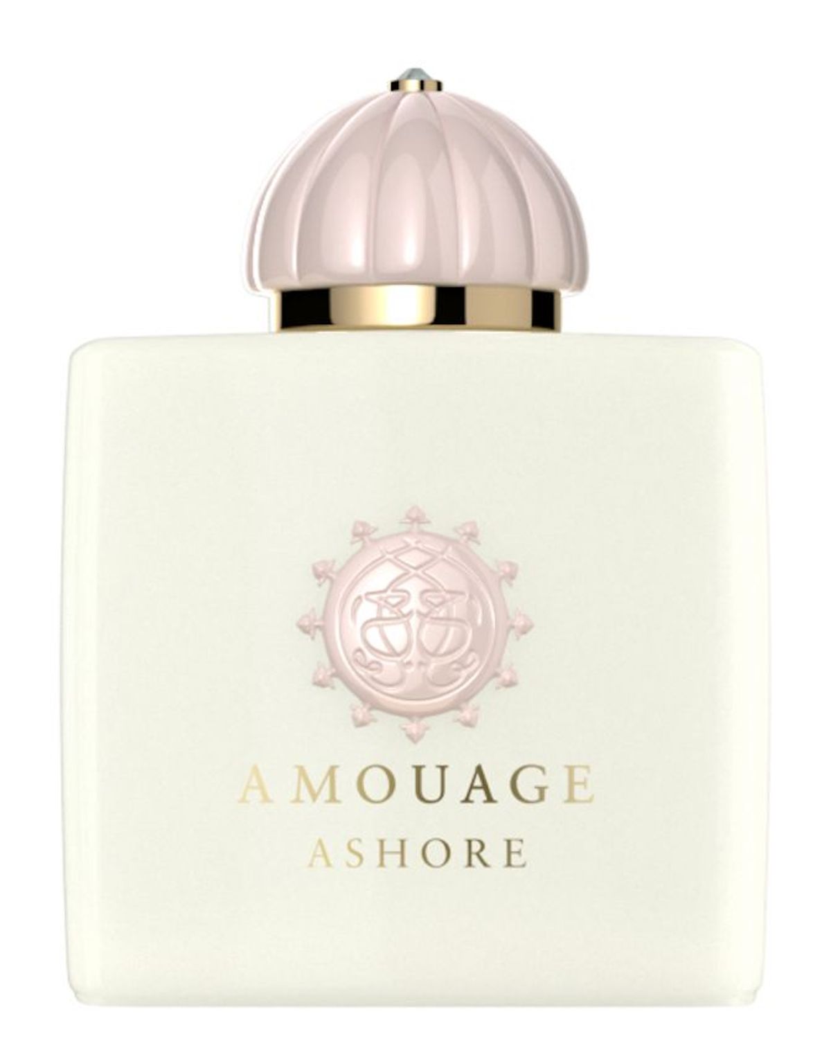 Ashore