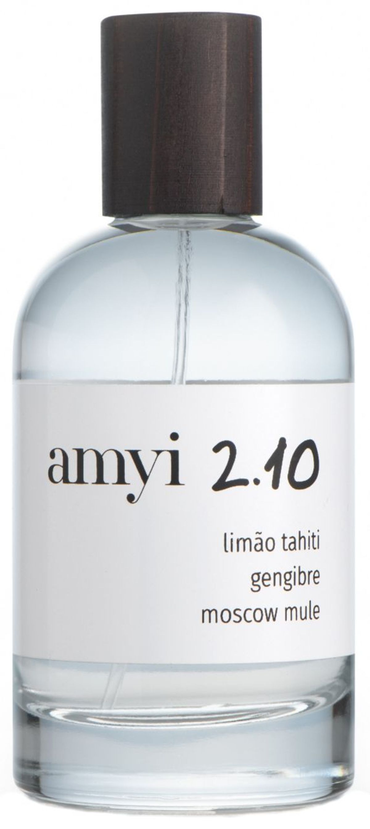 Amyi 2.10