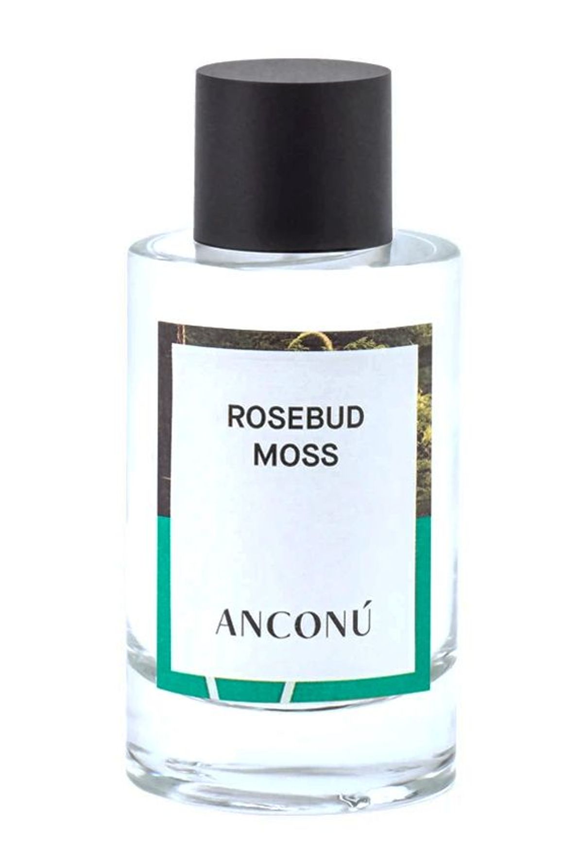 Rosebud Moss