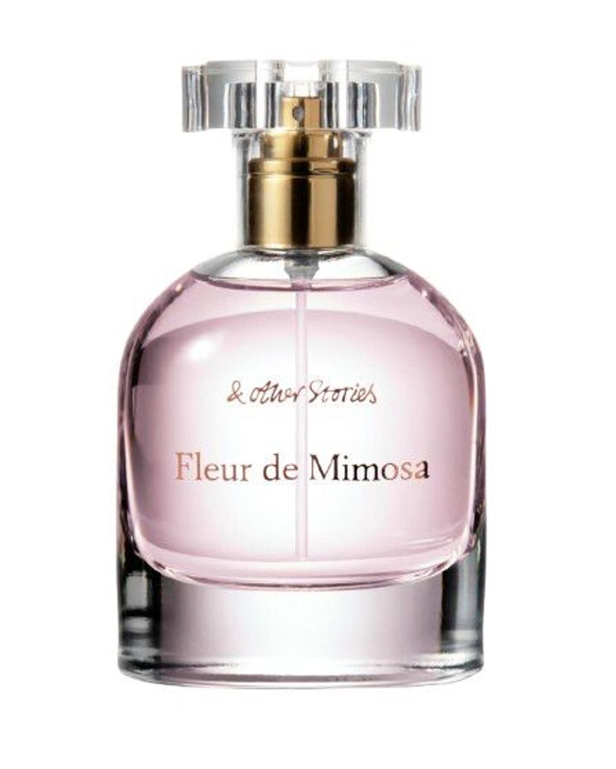 Fleur de Mimosa