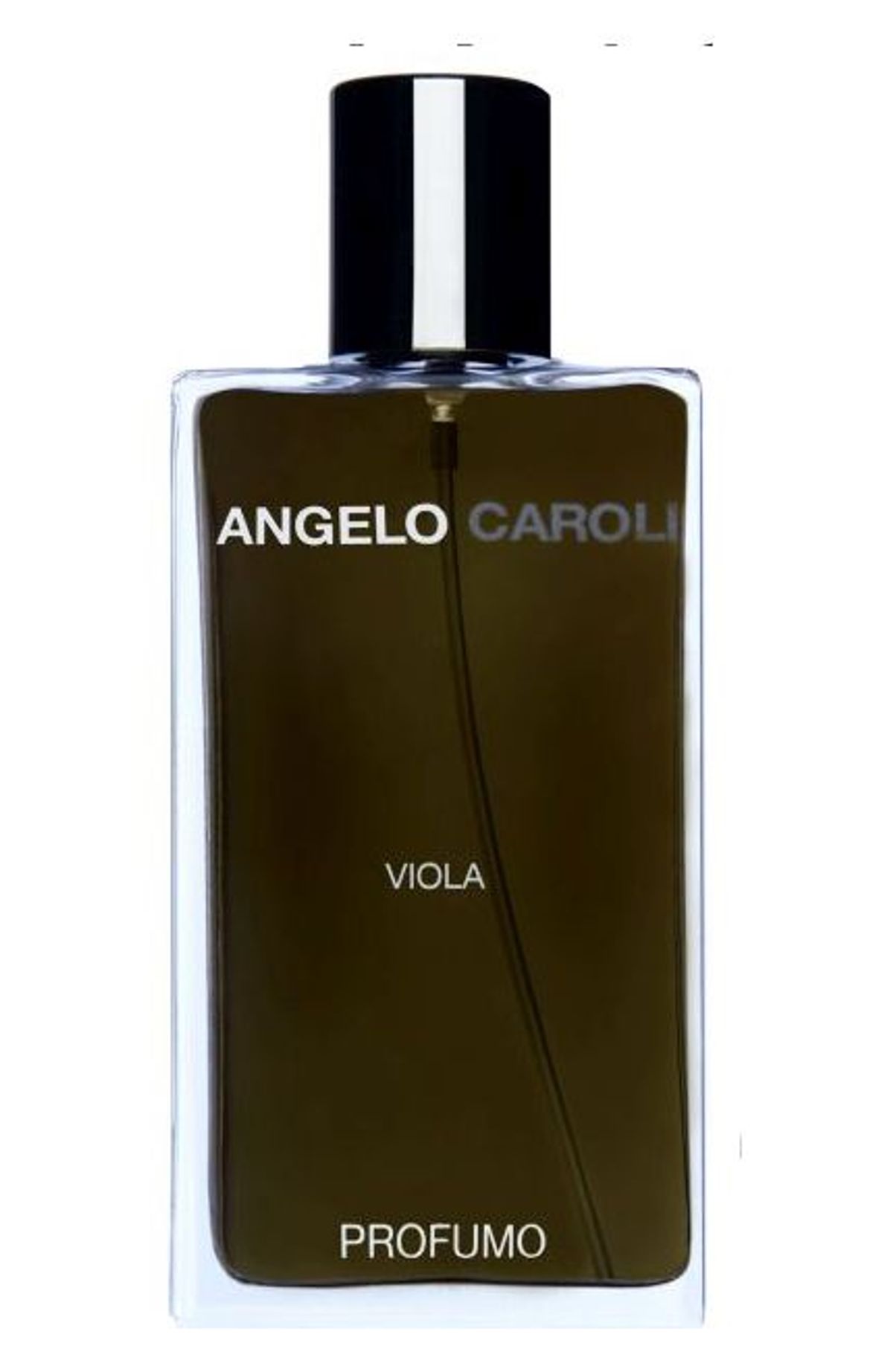 Viola