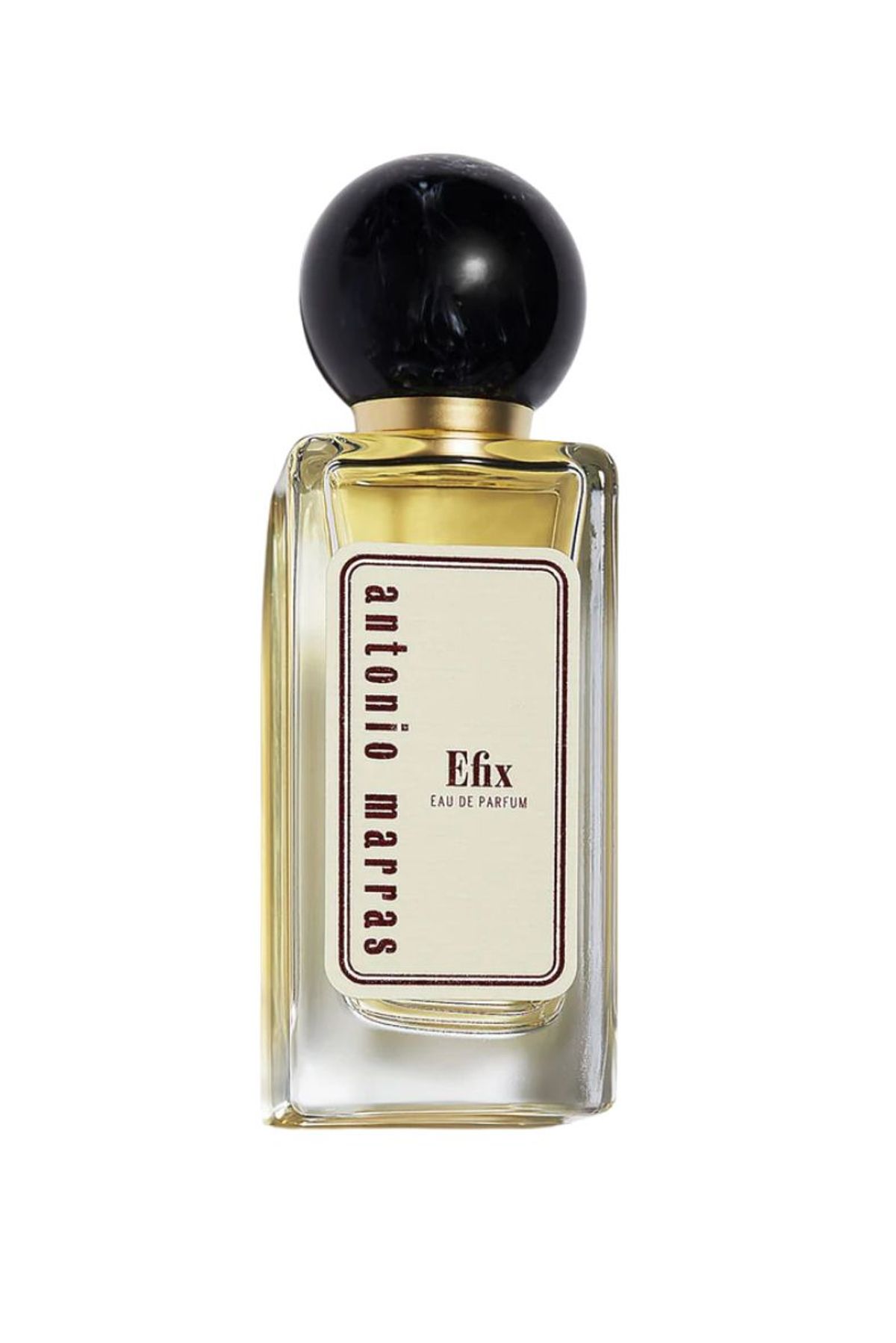 Efix