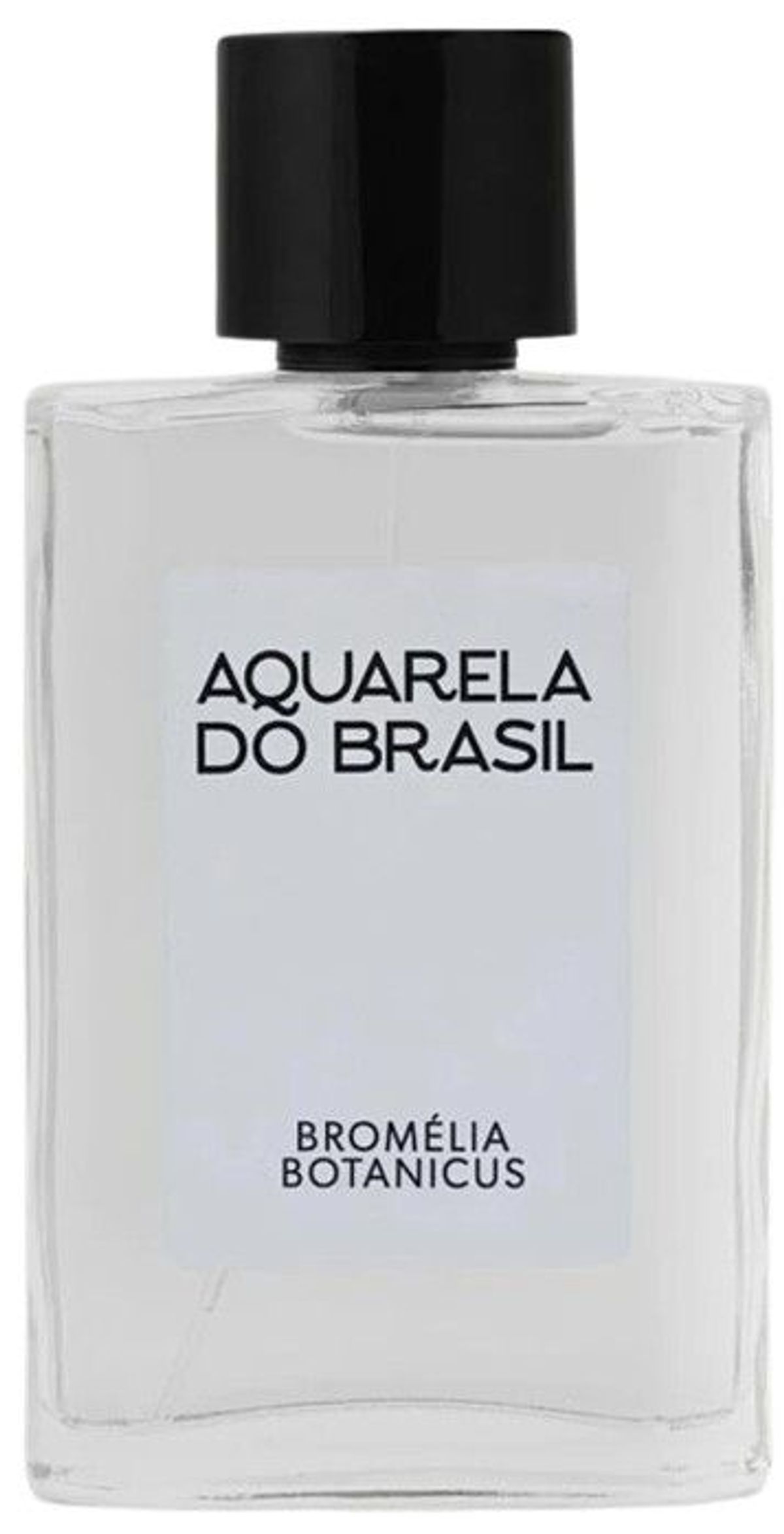 Bromélia Botanicus