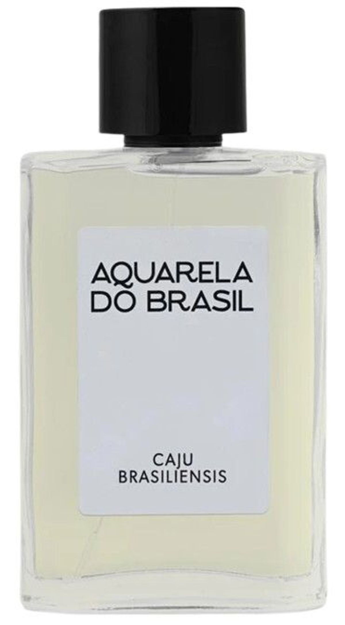 Caju Brasiliensis