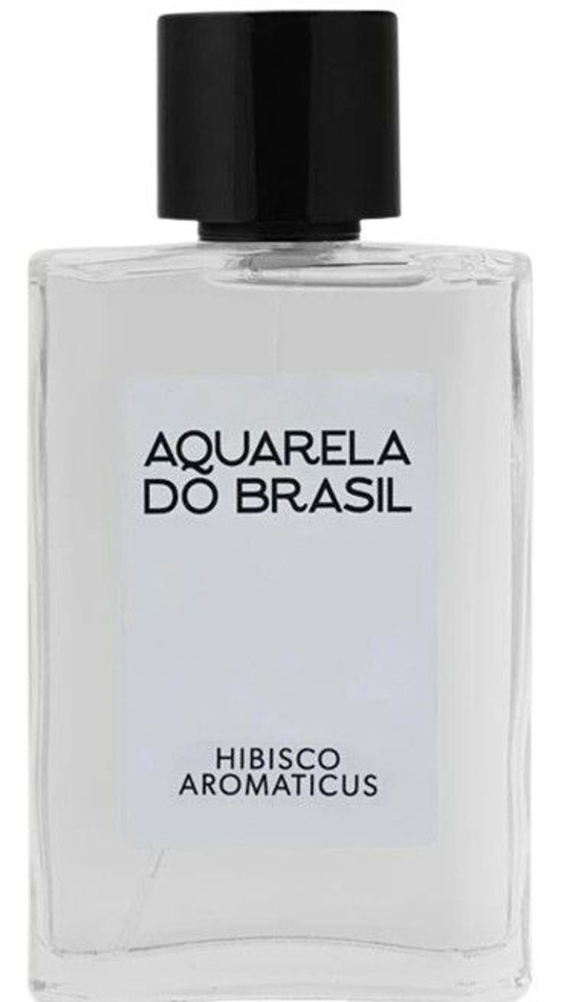 Hibisco Aromaticus