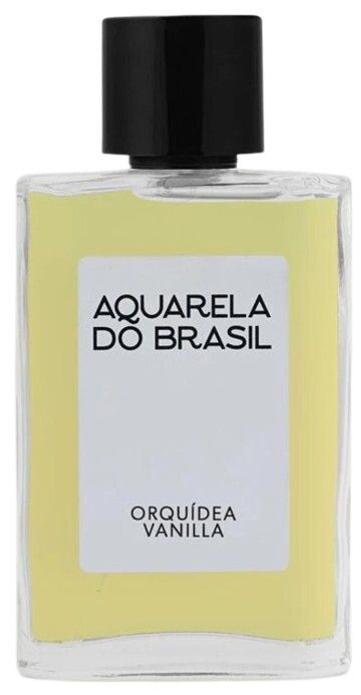 Orquídea Vanilla