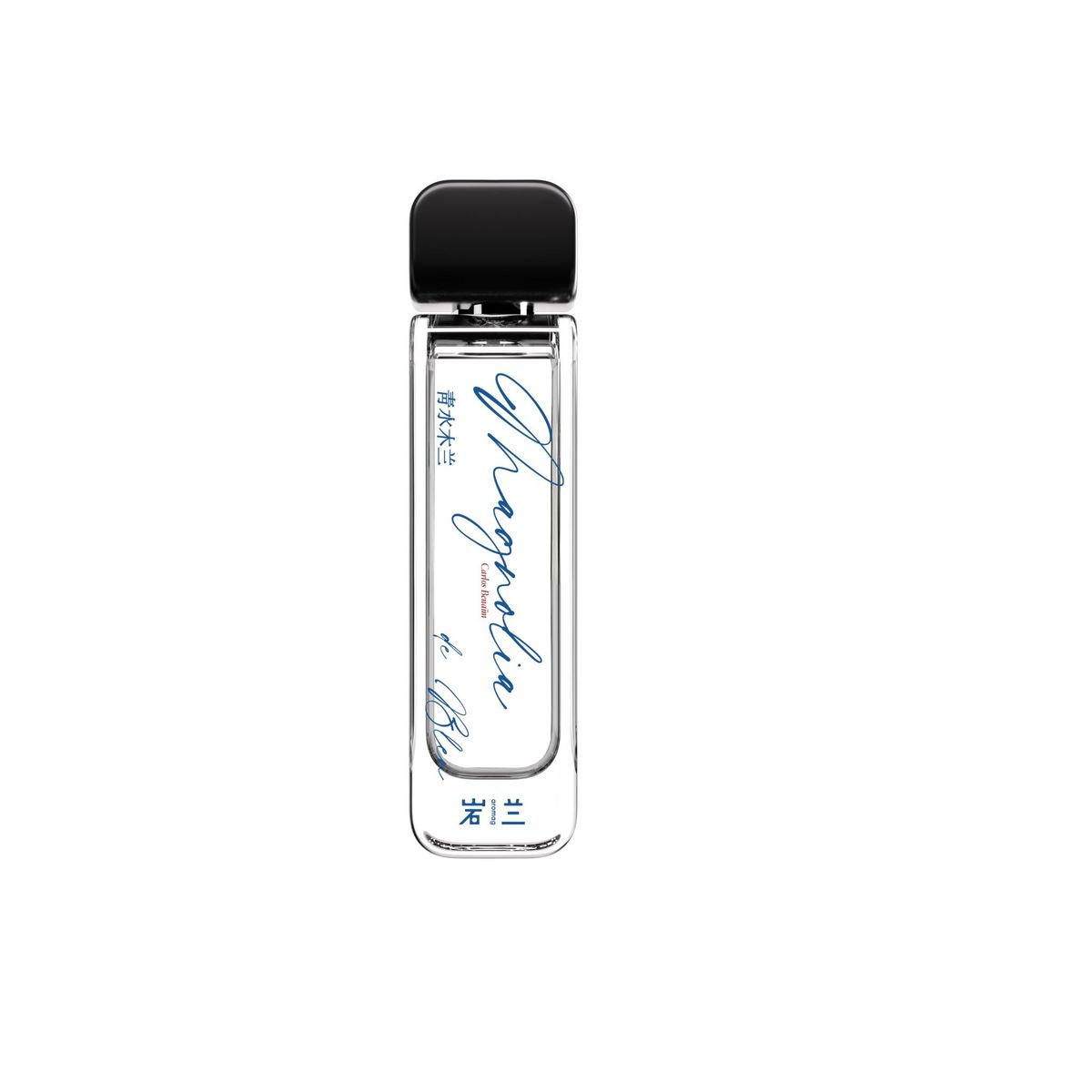 Magnolia de Bleu 青水木兰