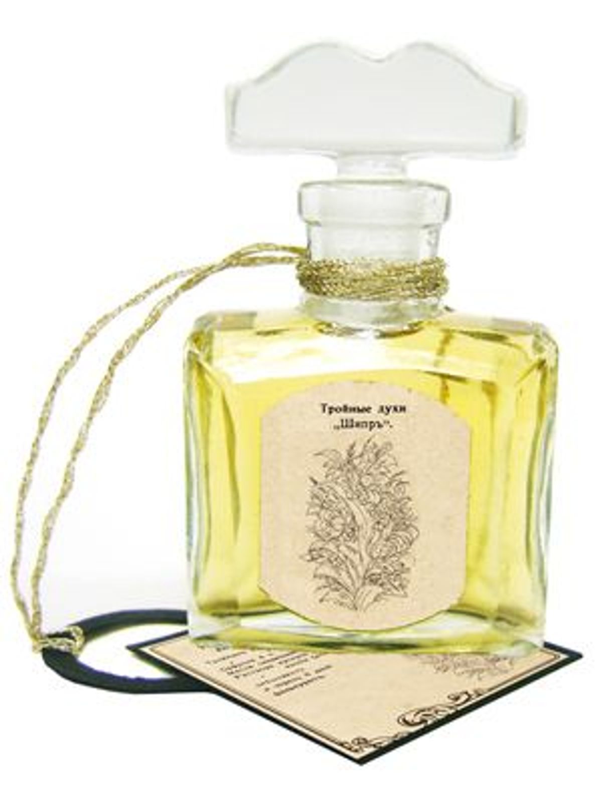 Chypre