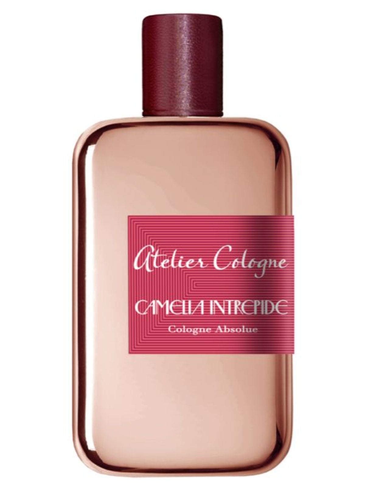Camelia Intrepide