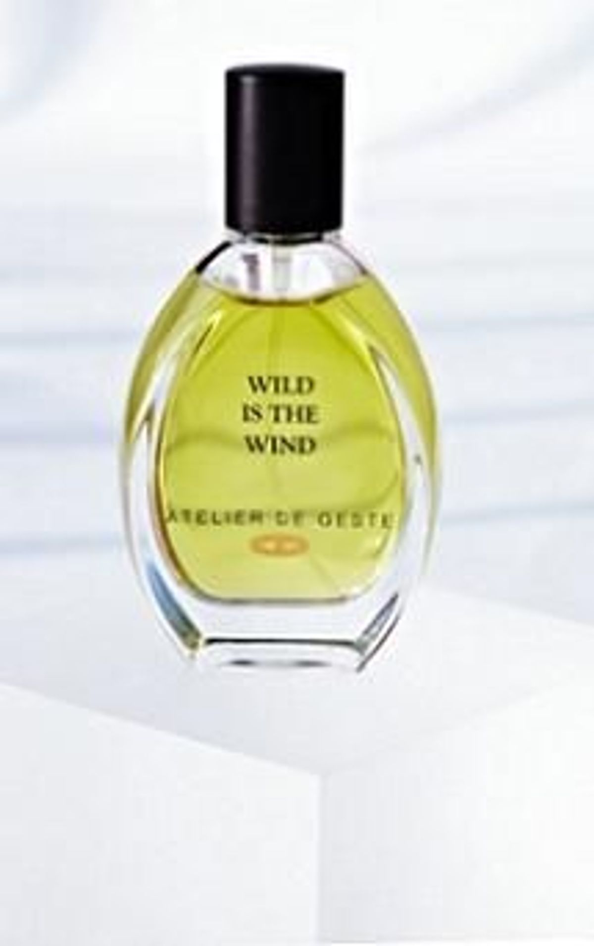 Wild is the Wind