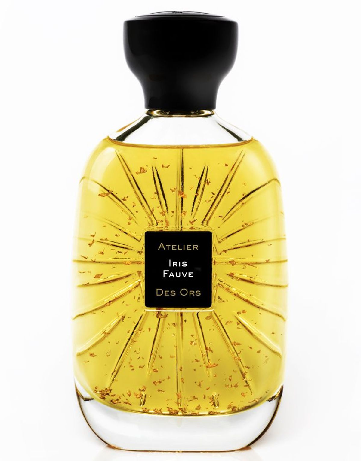Iris Fauve