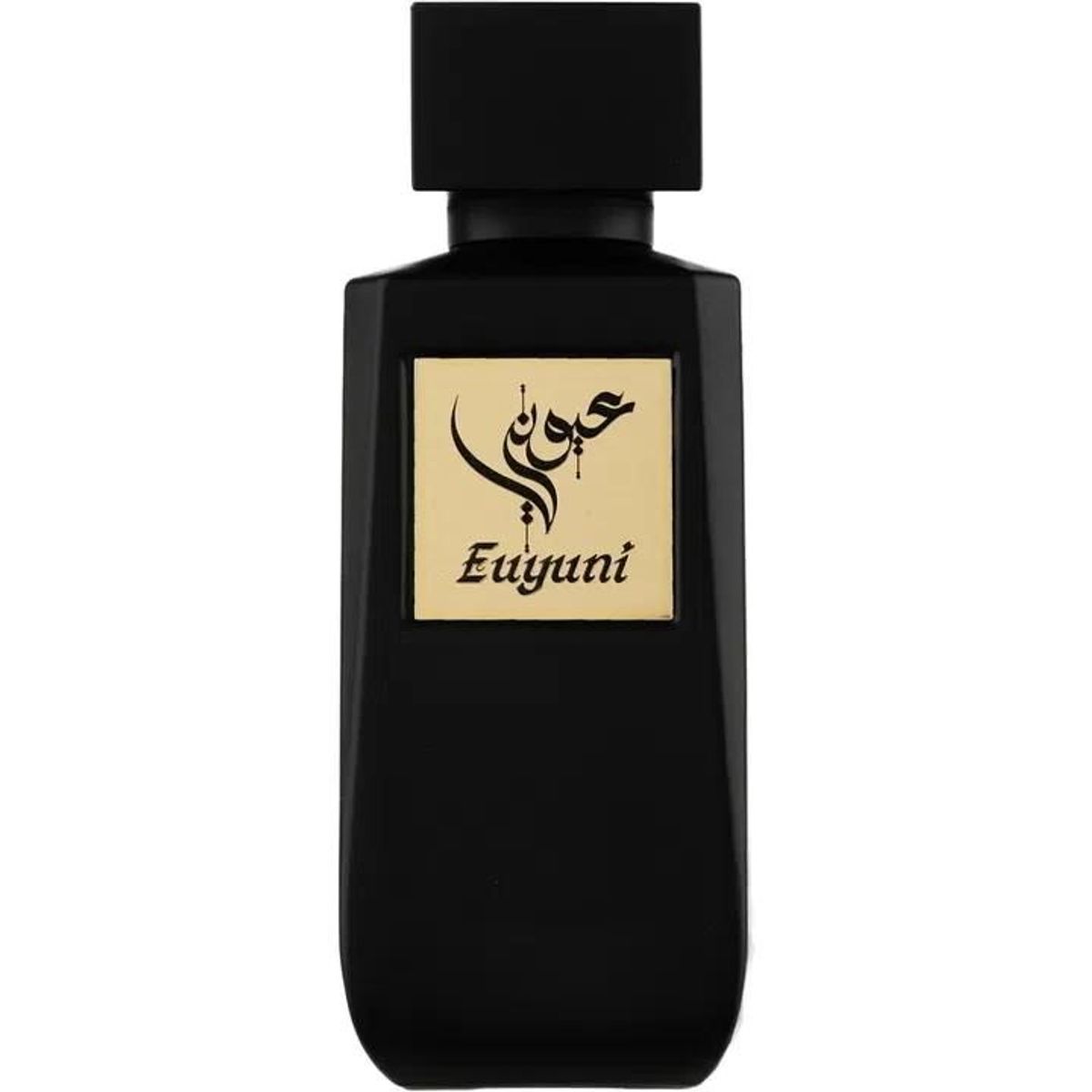 Euyuni