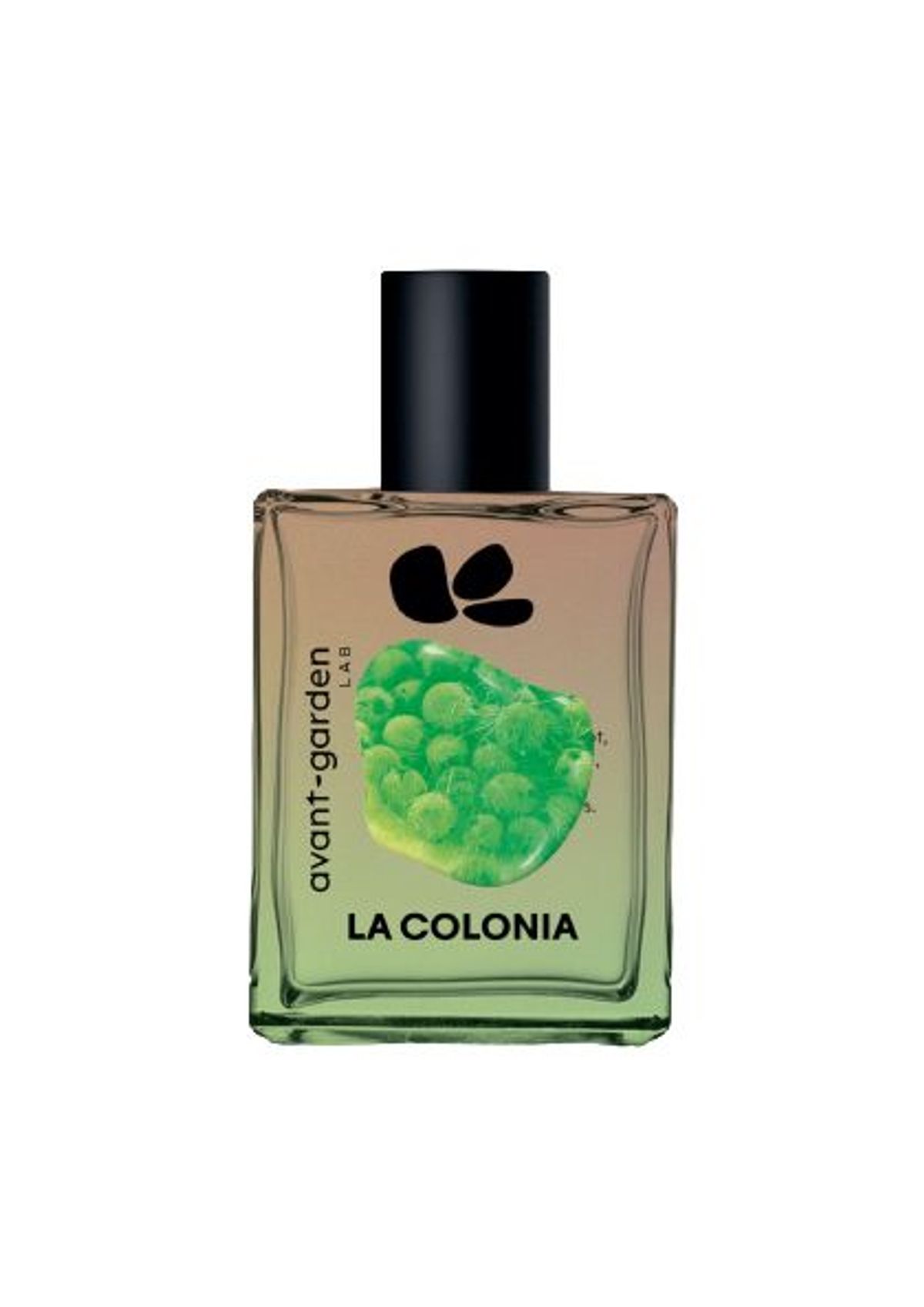 La Colonia