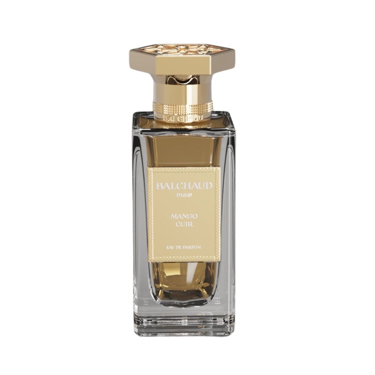 Mango Cuir