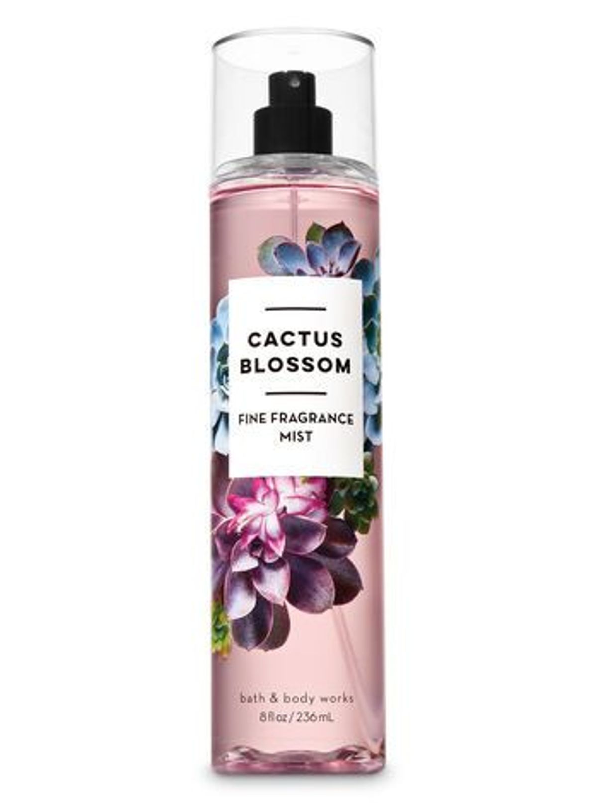 Cactus Blossom