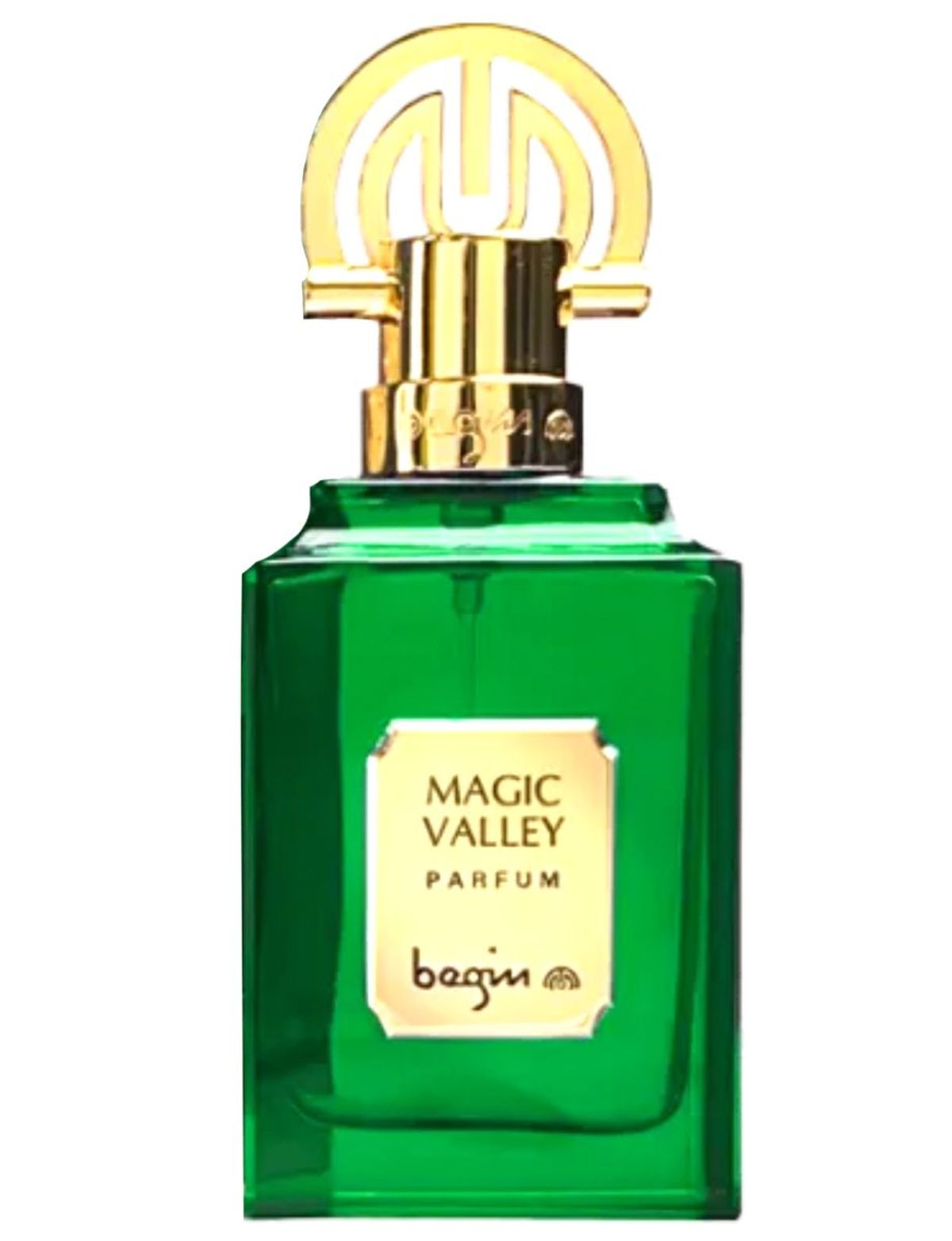 Magic Valley