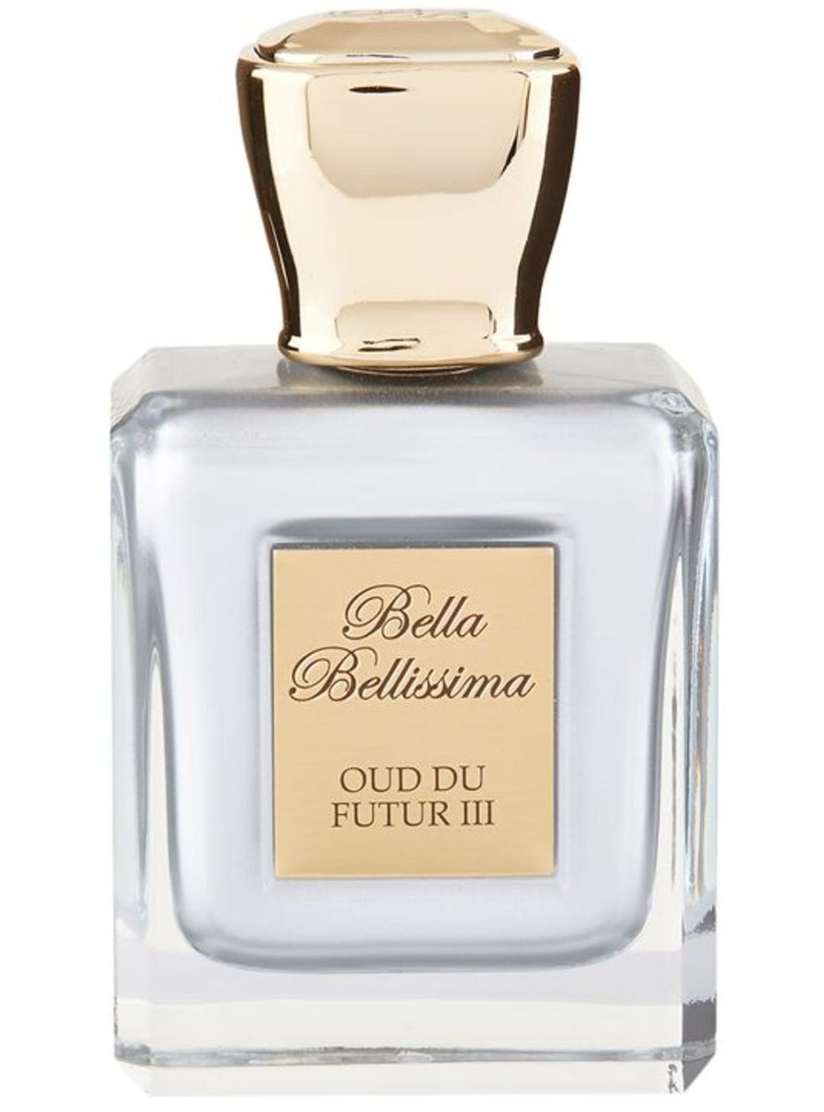 Oud Du Futur III