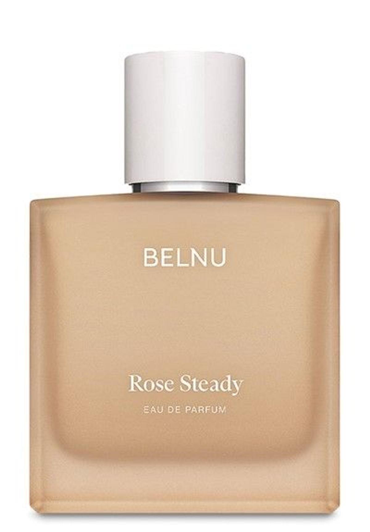 Rose Steady