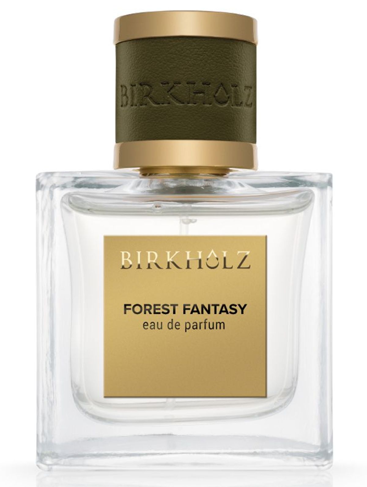 Forest Fantasy
