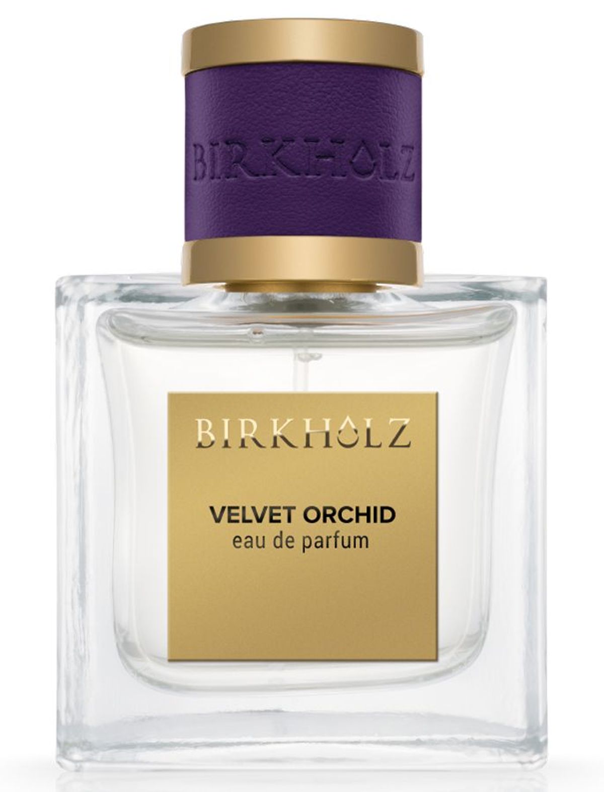 Velvet Orchid