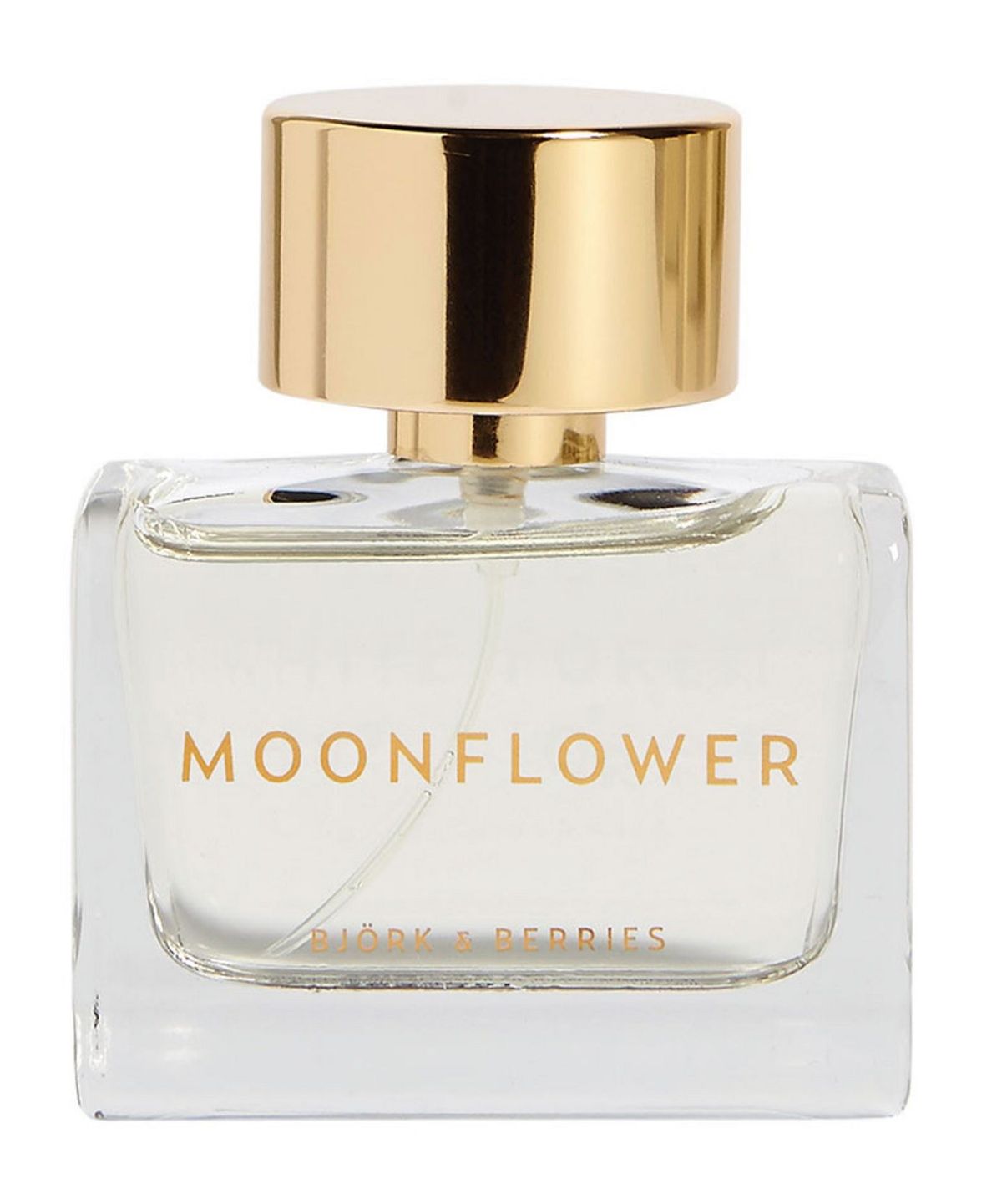 Moonflower
