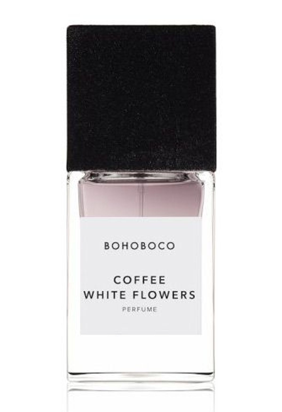 Coffee White Flowers