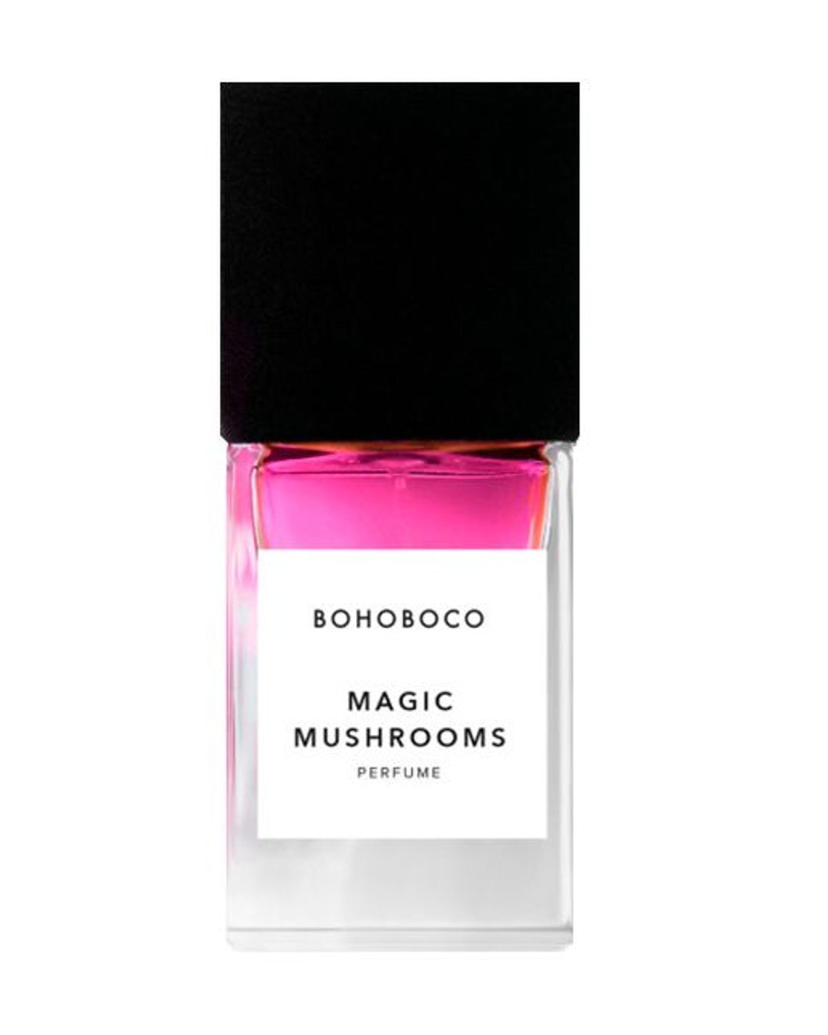 Magic Mushrooms