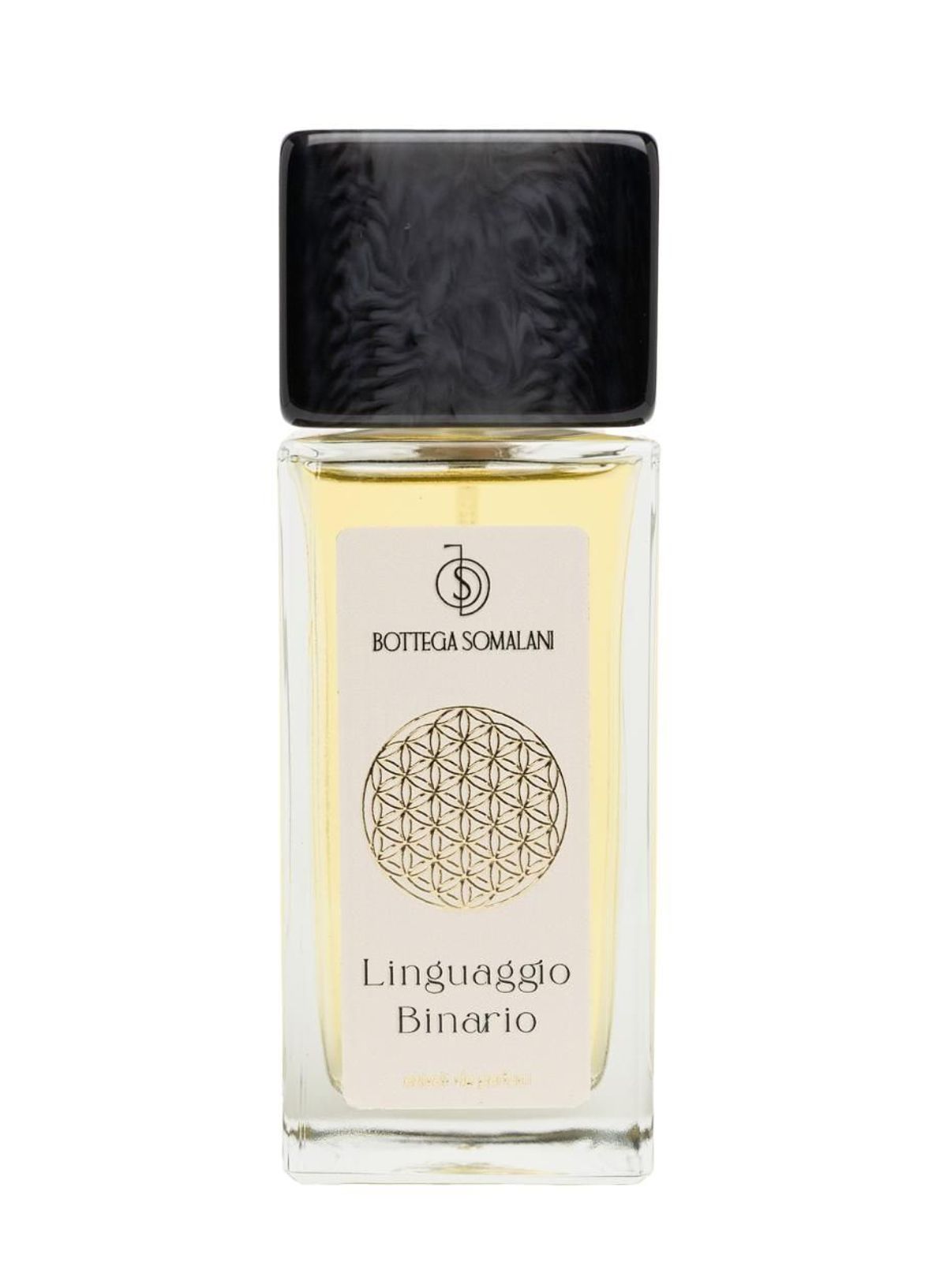 Linguaggio Binario
