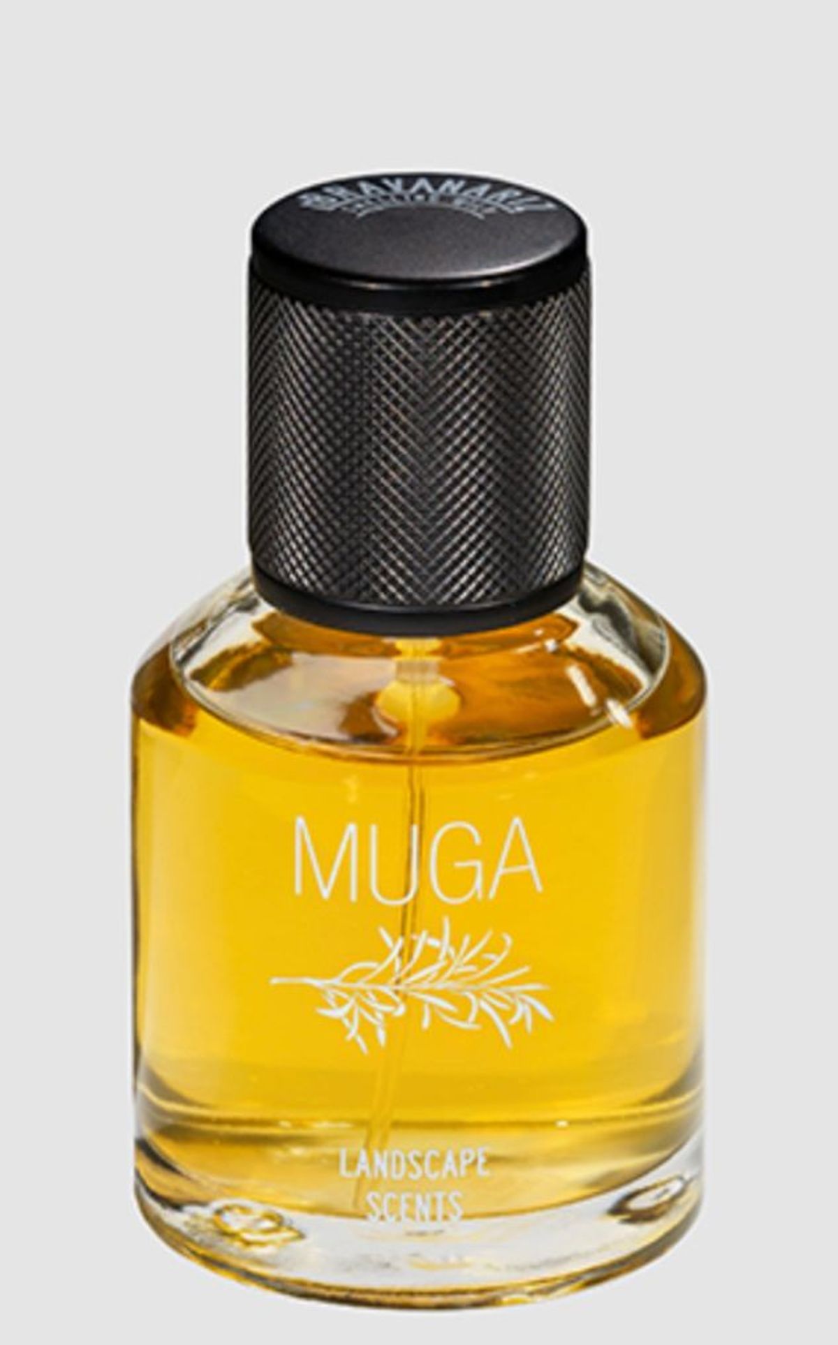 Muga
