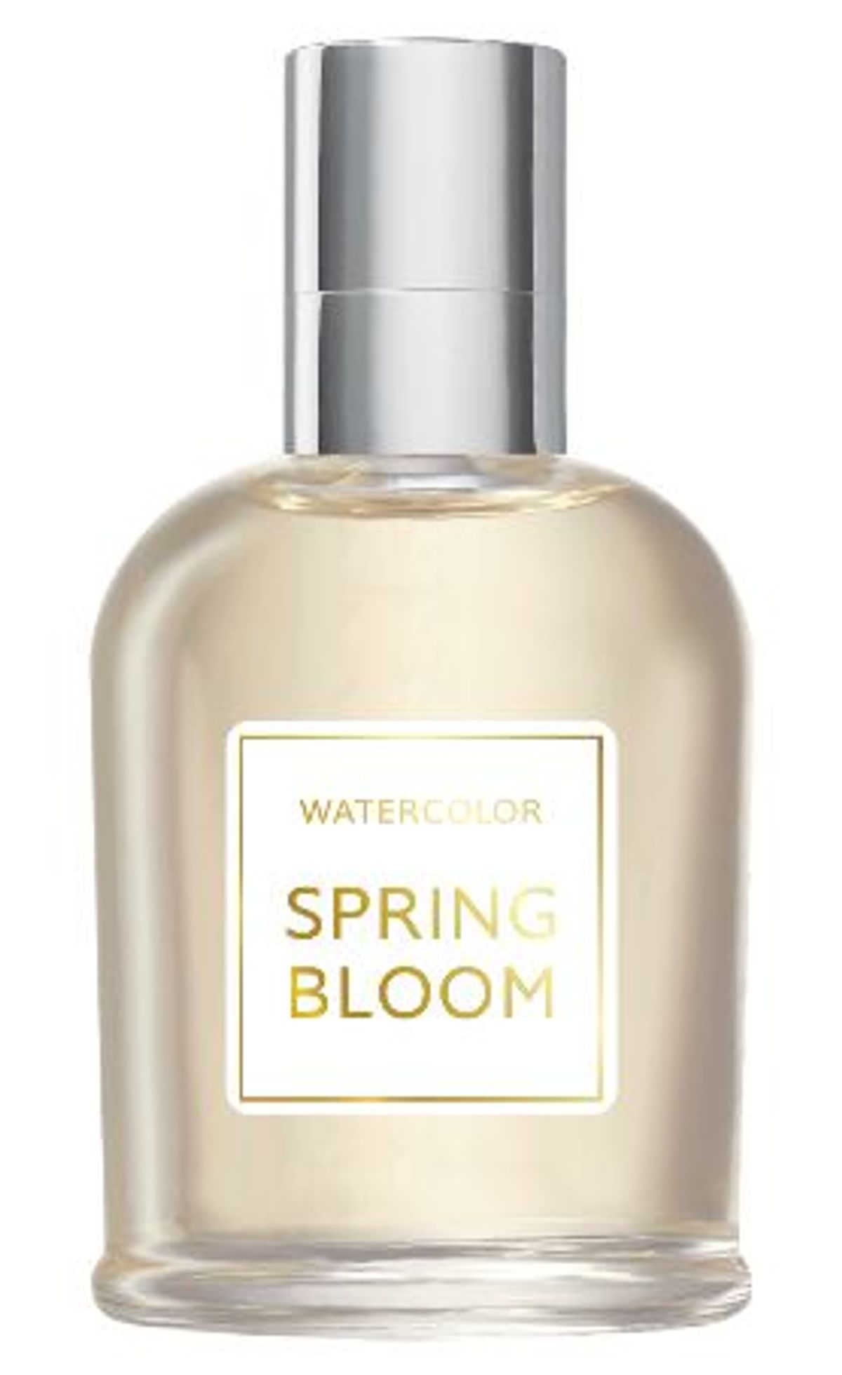 Spring Bloom