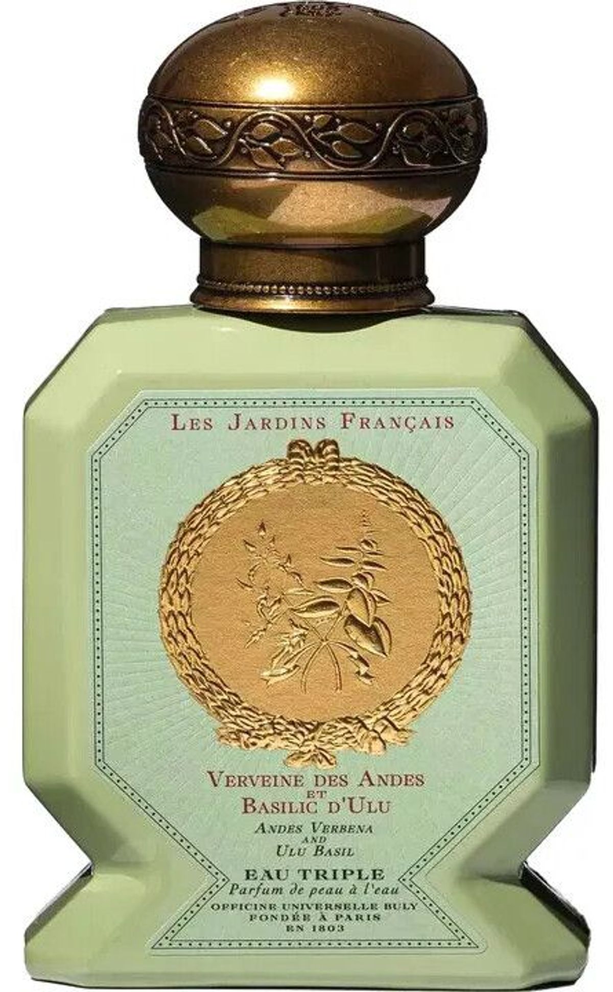 Verveine des Andes et Basilic d'Ulu